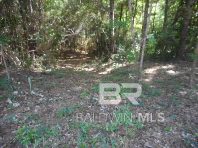 0 S Lamhatty Lane L12/U1, Daphne, AL 36526