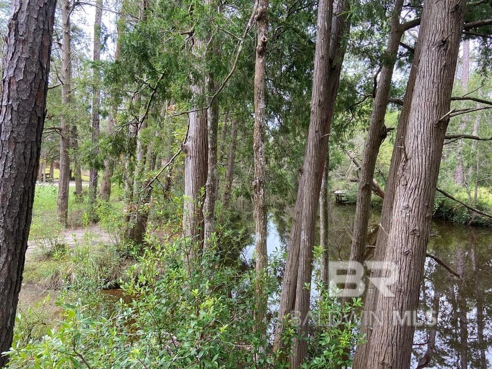 0 Woodland Drive 49, Elberta, AL 36530