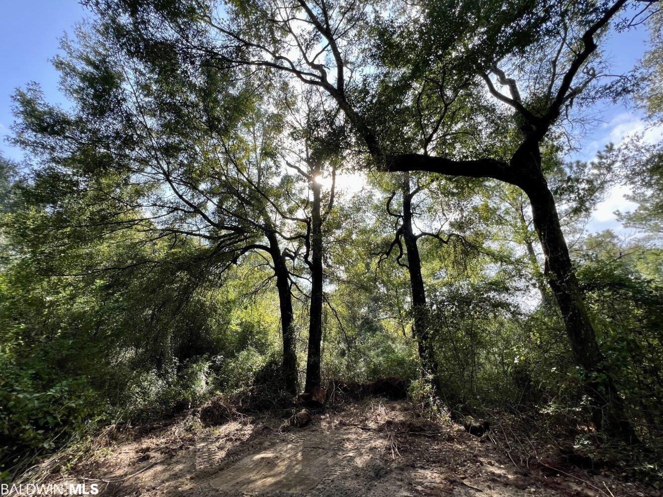 Homes for sale in Mobile, AL | 0 Bear Fork Road, Mobile, AL 36618 | MLS# 352171