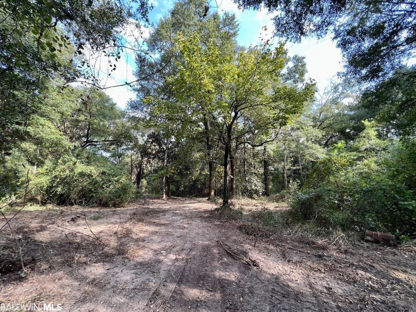 Homes for sale in Mobile, AL | 0 Bear Fork Road, Mobile, AL 36618 | MLS# 352171