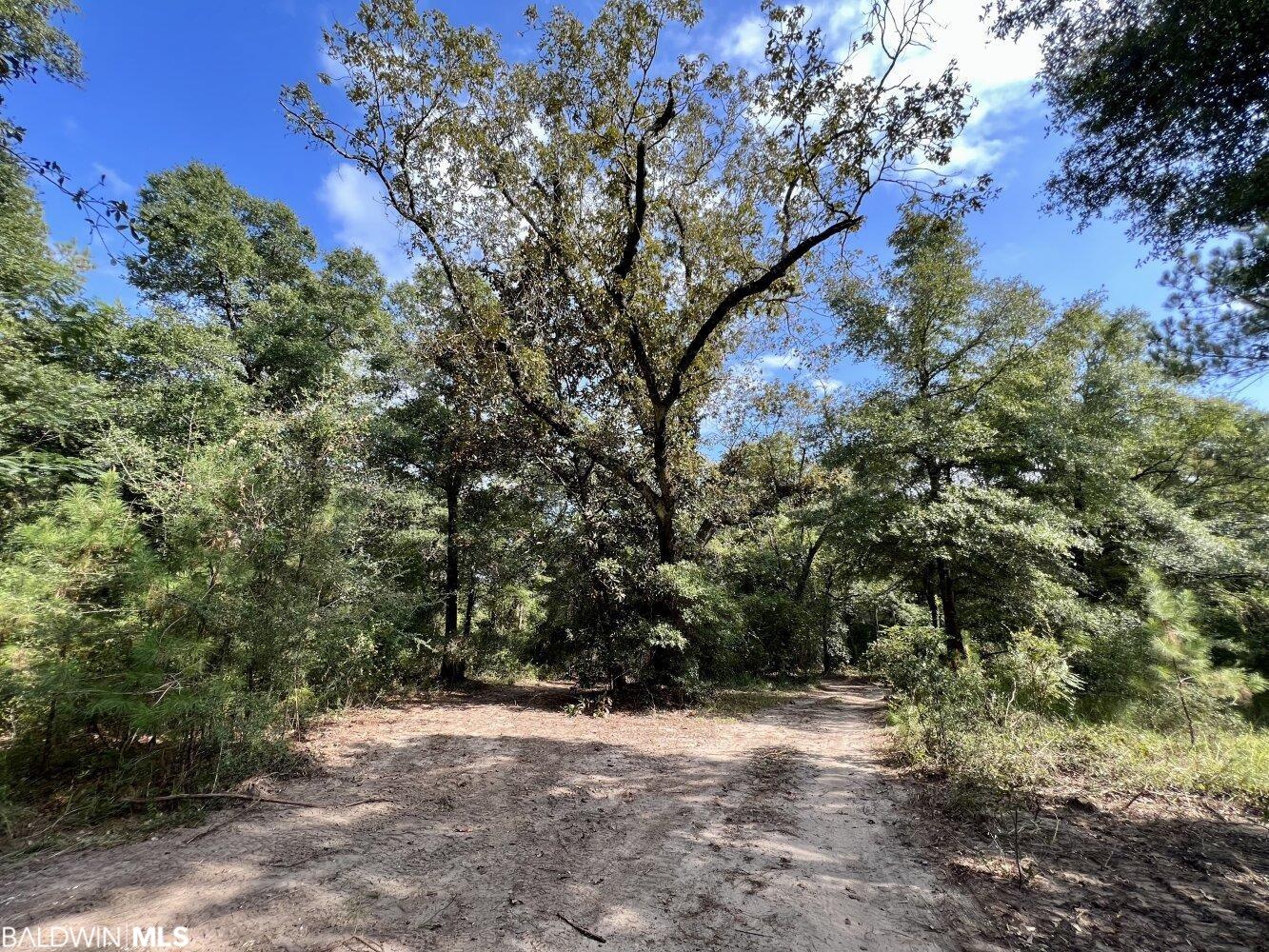 Homes for sale in Mobile, AL | 0 Bear Fork Road, Mobile, AL 36618 | MLS# 352171