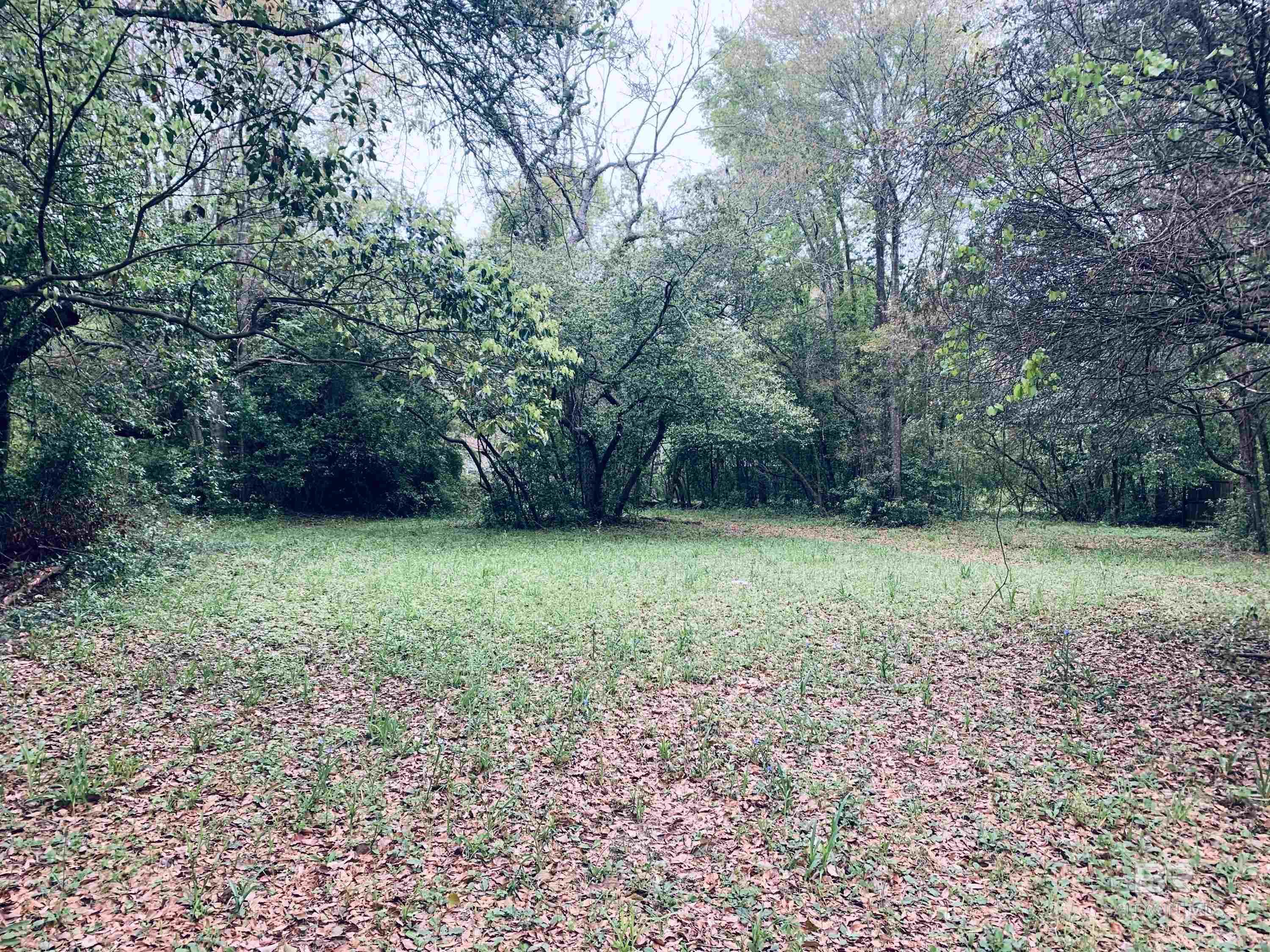 Homes for sale in Mobile, AL | 1510 Northview Dr, Mobile, AL 36618 | MLS# 359925