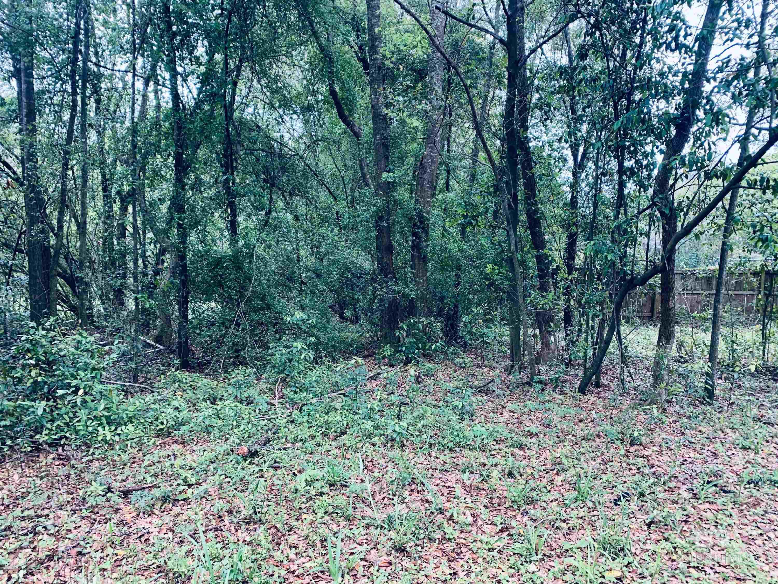 Homes for sale in Mobile, AL | 1510 Northview Dr, Mobile, AL 36618 | MLS# 359925