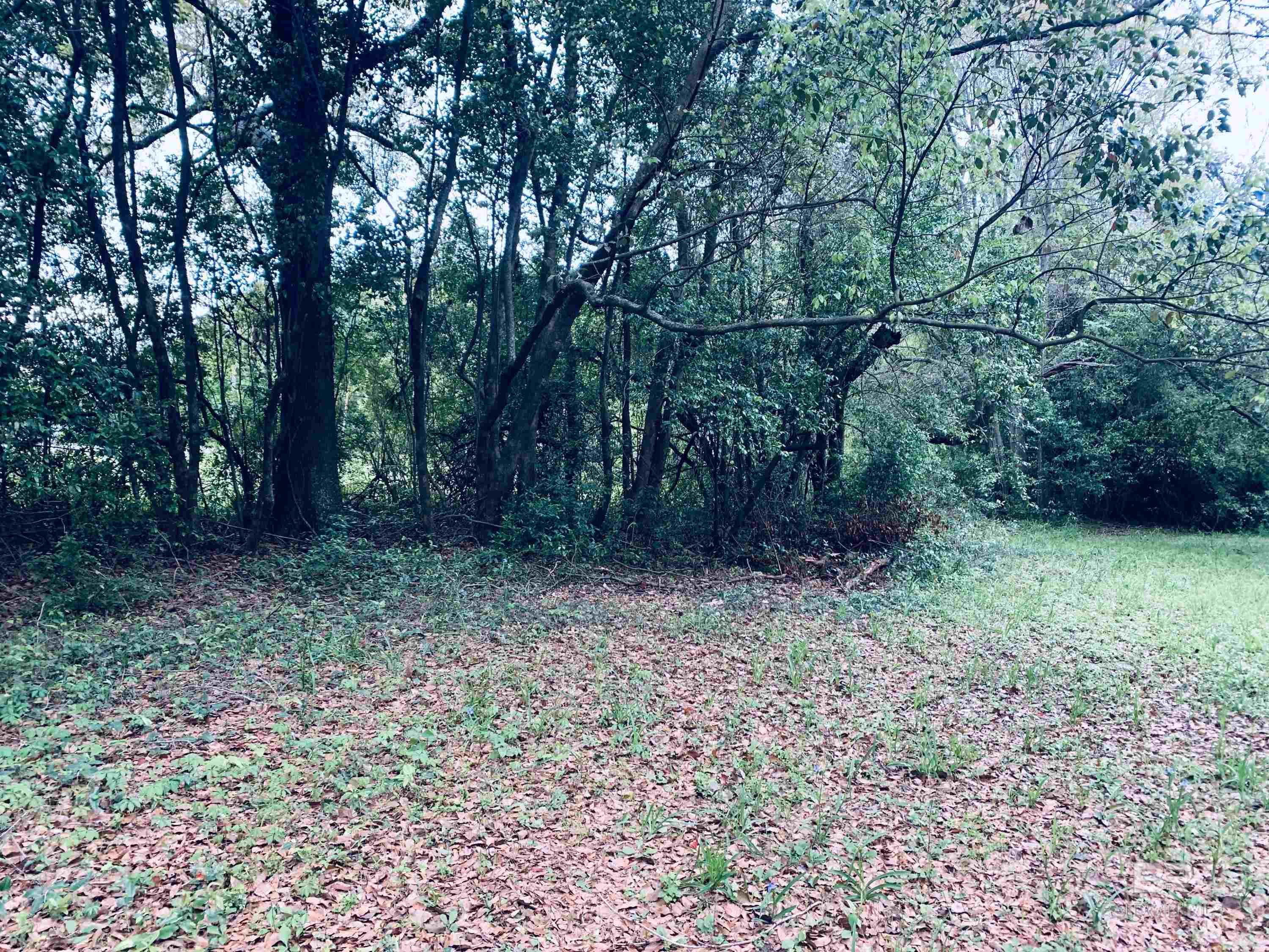 Homes for sale in Mobile, AL | 1510 Northview Dr, Mobile, AL 36618 | MLS# 359925