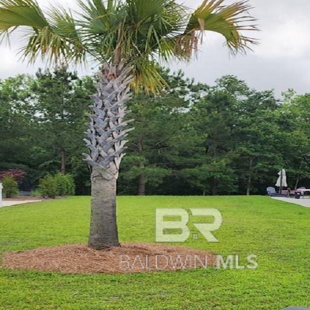 Listing Photo 362143
