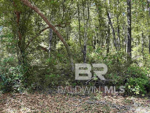 Homes for sale in Lillian, AL | Tbd Plaza Marcia Dr, Lillian, AL 36549 | MLS# 365130