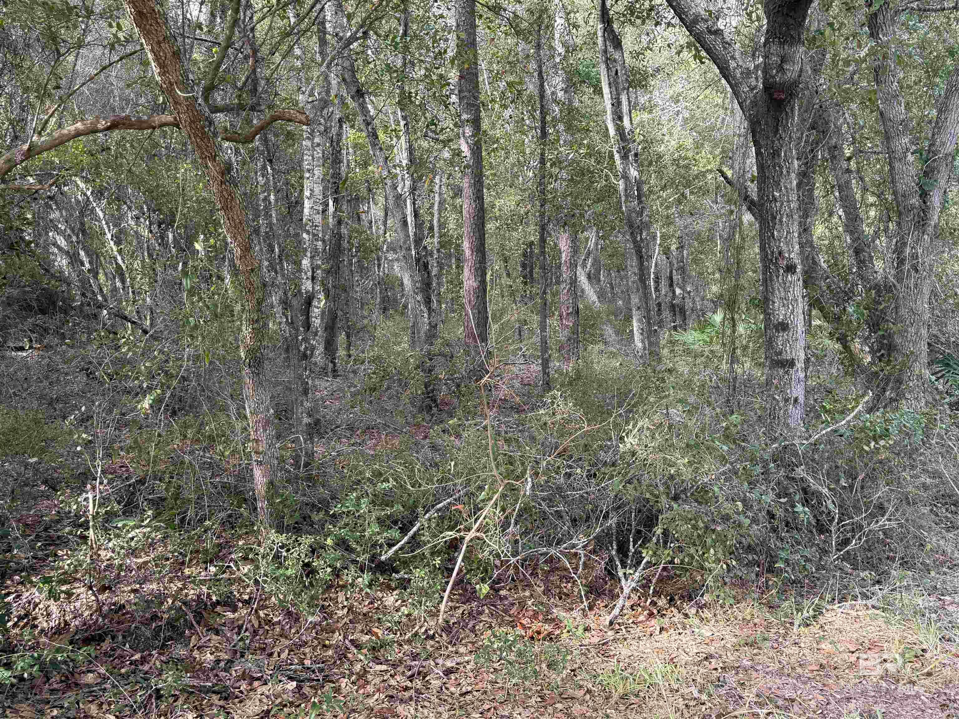 Homes for sale in Lillian, AL | Tbd Plaza Marcia Dr, Lillian, AL 36549 | MLS# 365130