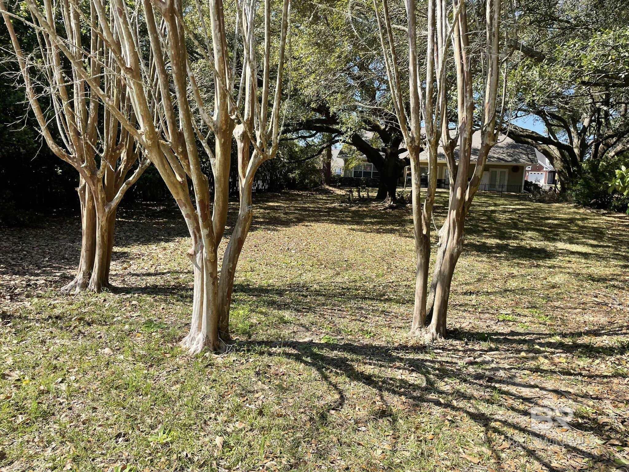 Homes for sale in Gulf Shores, AL | Lot 34 Ancient Oaks Circle, Gulf Shores, AL 36542 | MLS# 365496