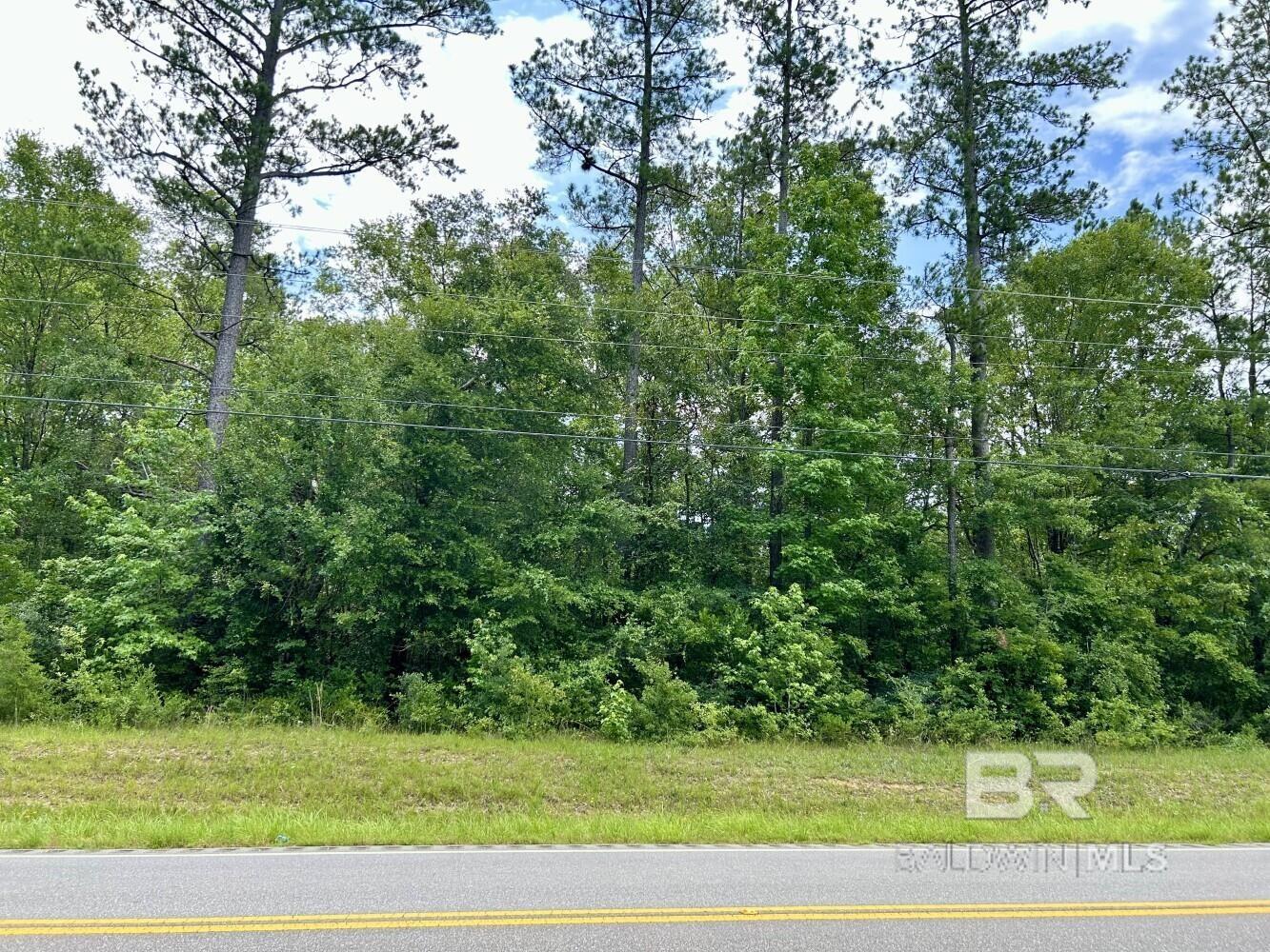 Homes for sale in Stockton, AL | 0 State Hwy 59, Stockton, AL 36579 | MLS# 365843