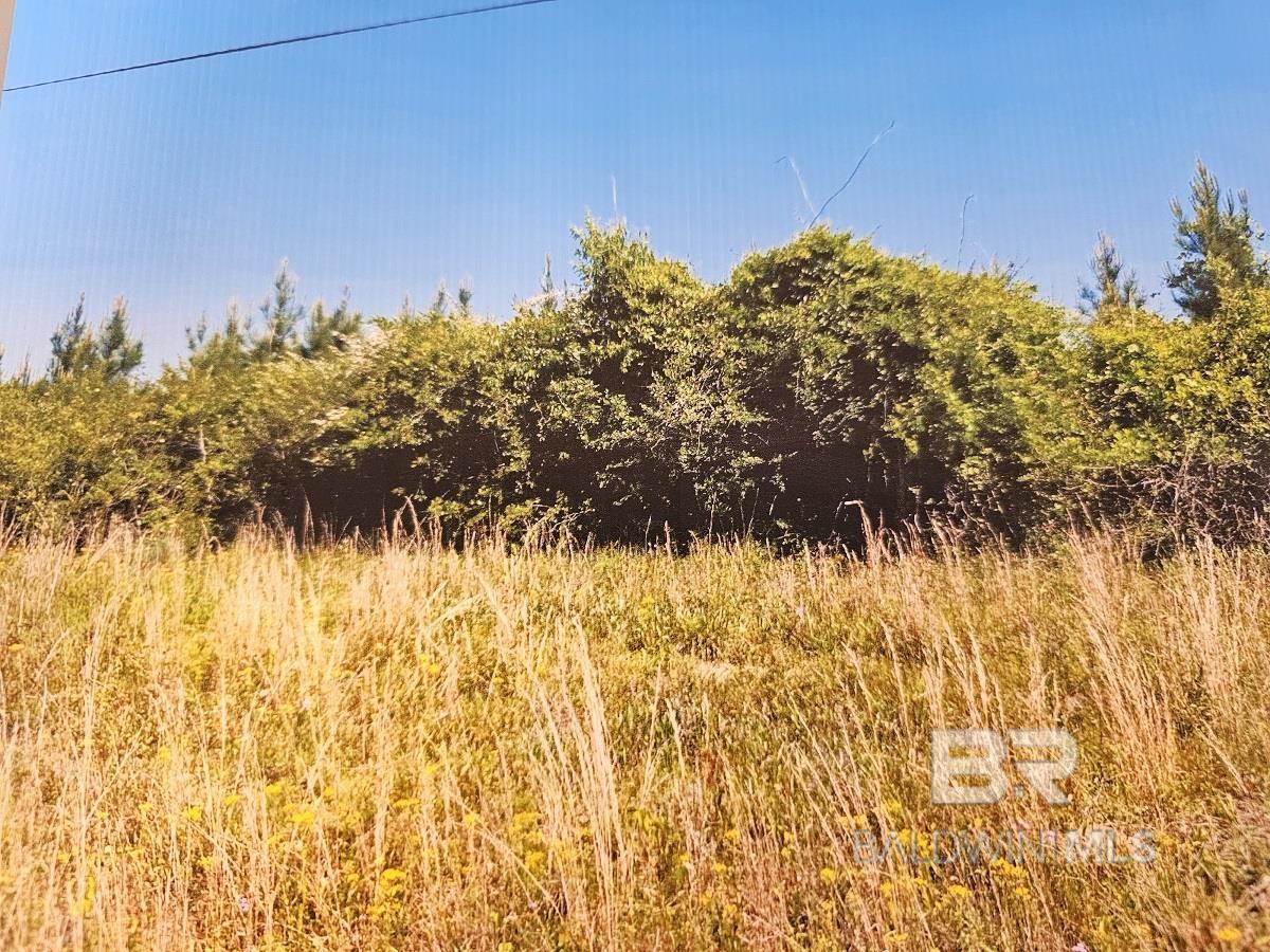 Listing Photo 366099
