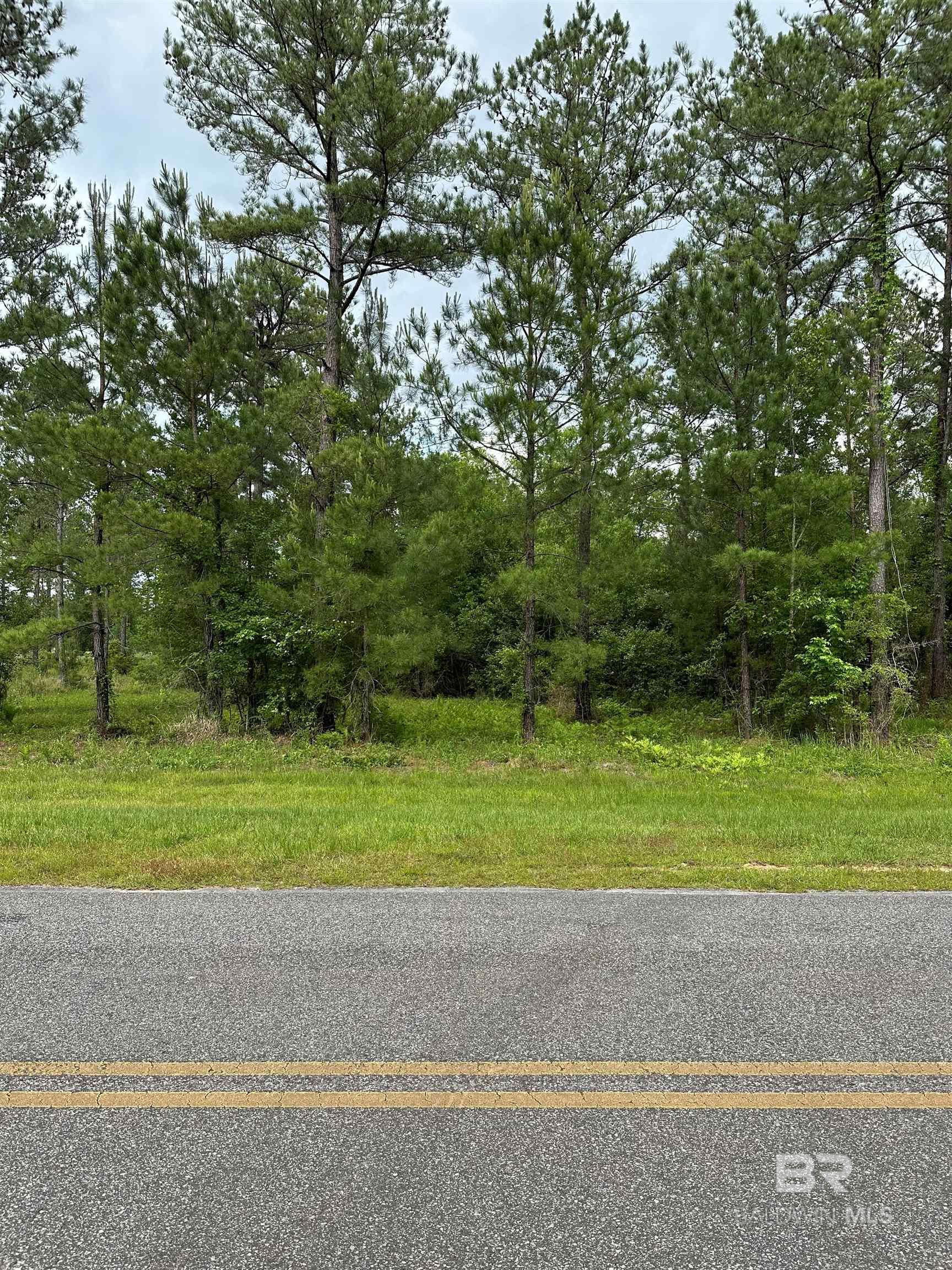 Homes for sale in Bay Minette, AL | 0 Hollingsworth Road, Bay Minette, AL 36507 | MLS# 367744