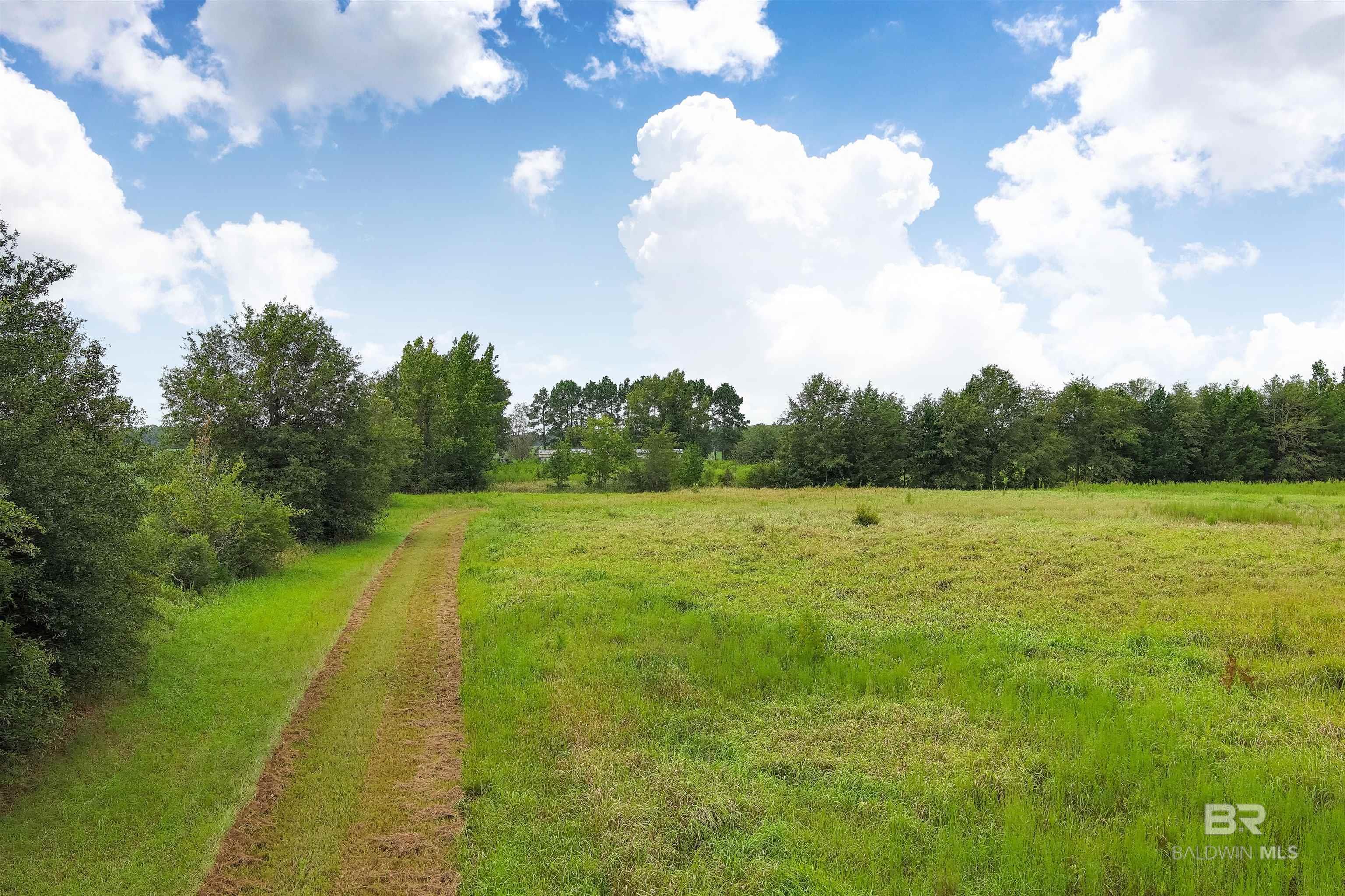 Homes for sale in Atmore, AL | 1147 Mack Pond Road, Atmore, AL 36502 | MLS# 368123