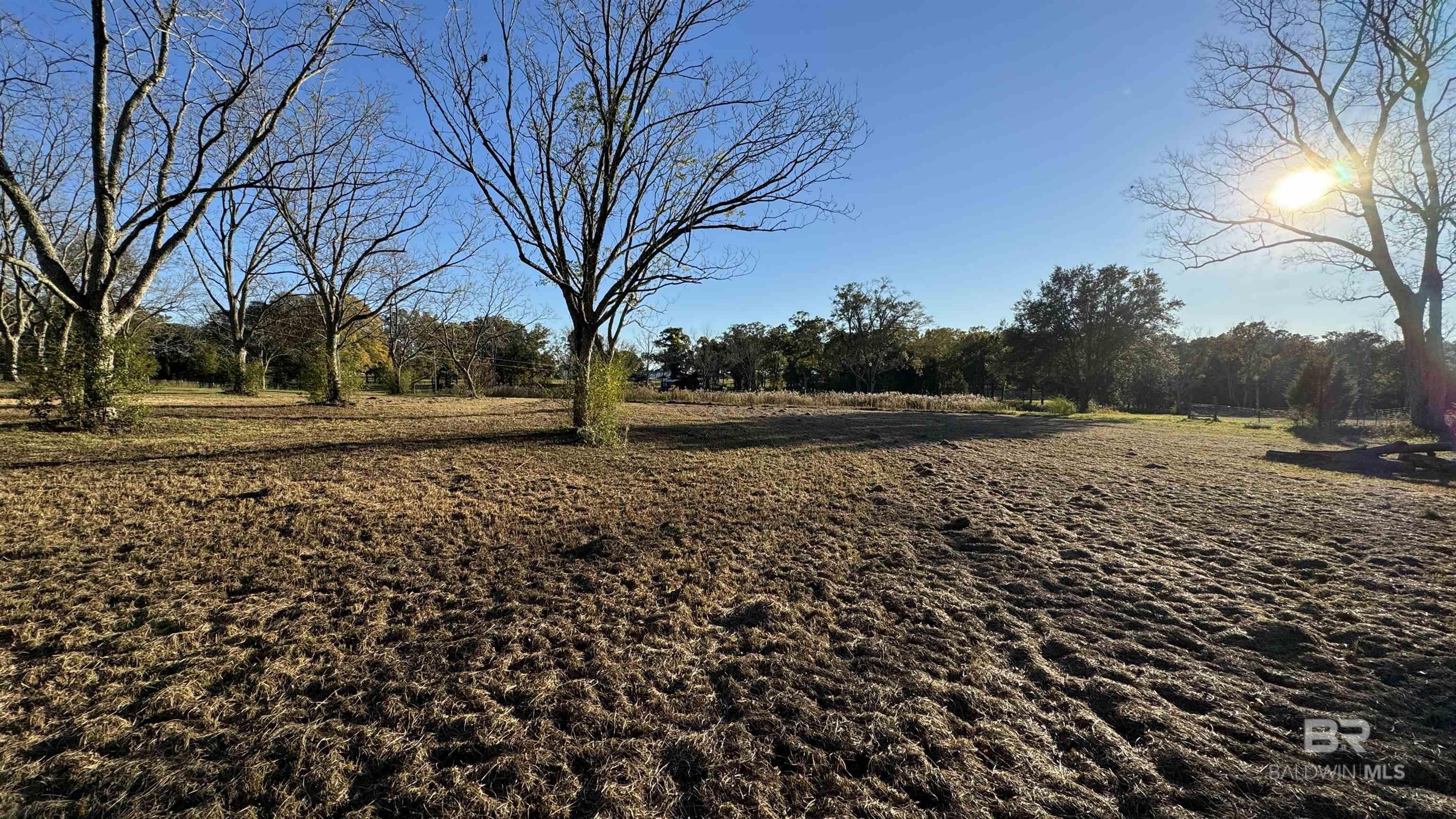 Homes for sale in Robertsdale, AL | 0 County Road 68, Robertsdale, AL 36567 | MLS# 371815