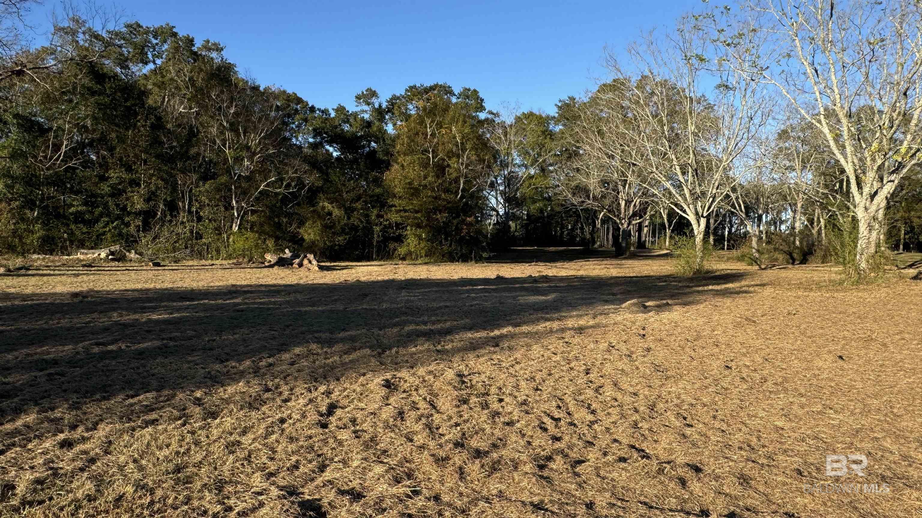 Homes for sale in Robertsdale, AL | 0 County Road 68, Robertsdale, AL 36567 | MLS# 371815