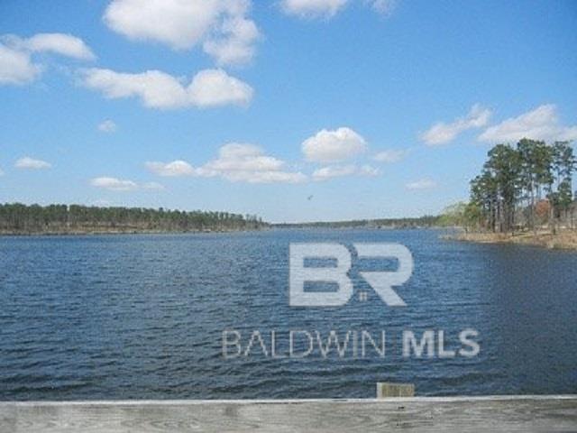 Listing Photo 372082
