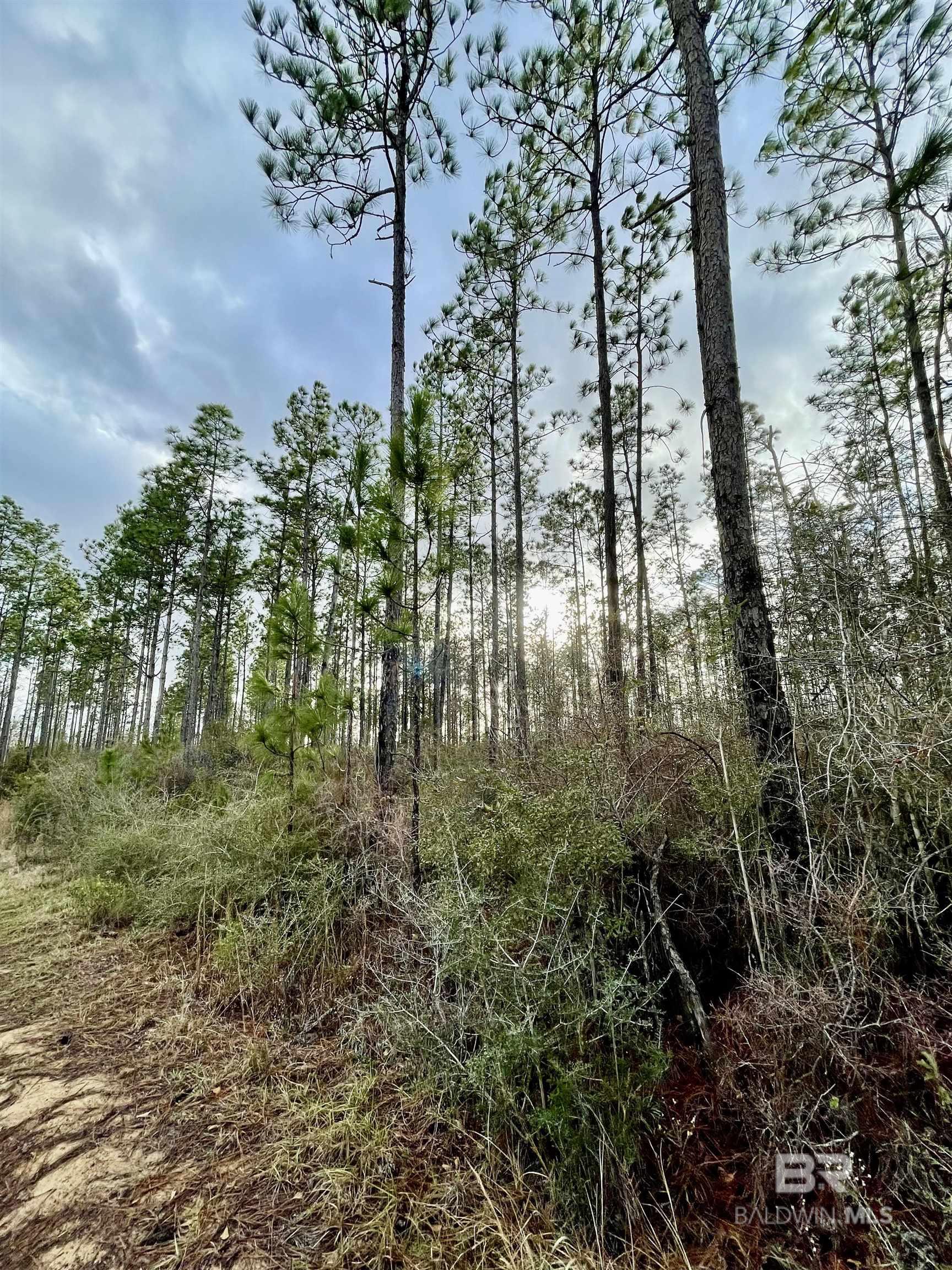 Homes for sale in Century, FL | 3700 Block Hwy 168, Century, FL 32535 | MLS# 372510