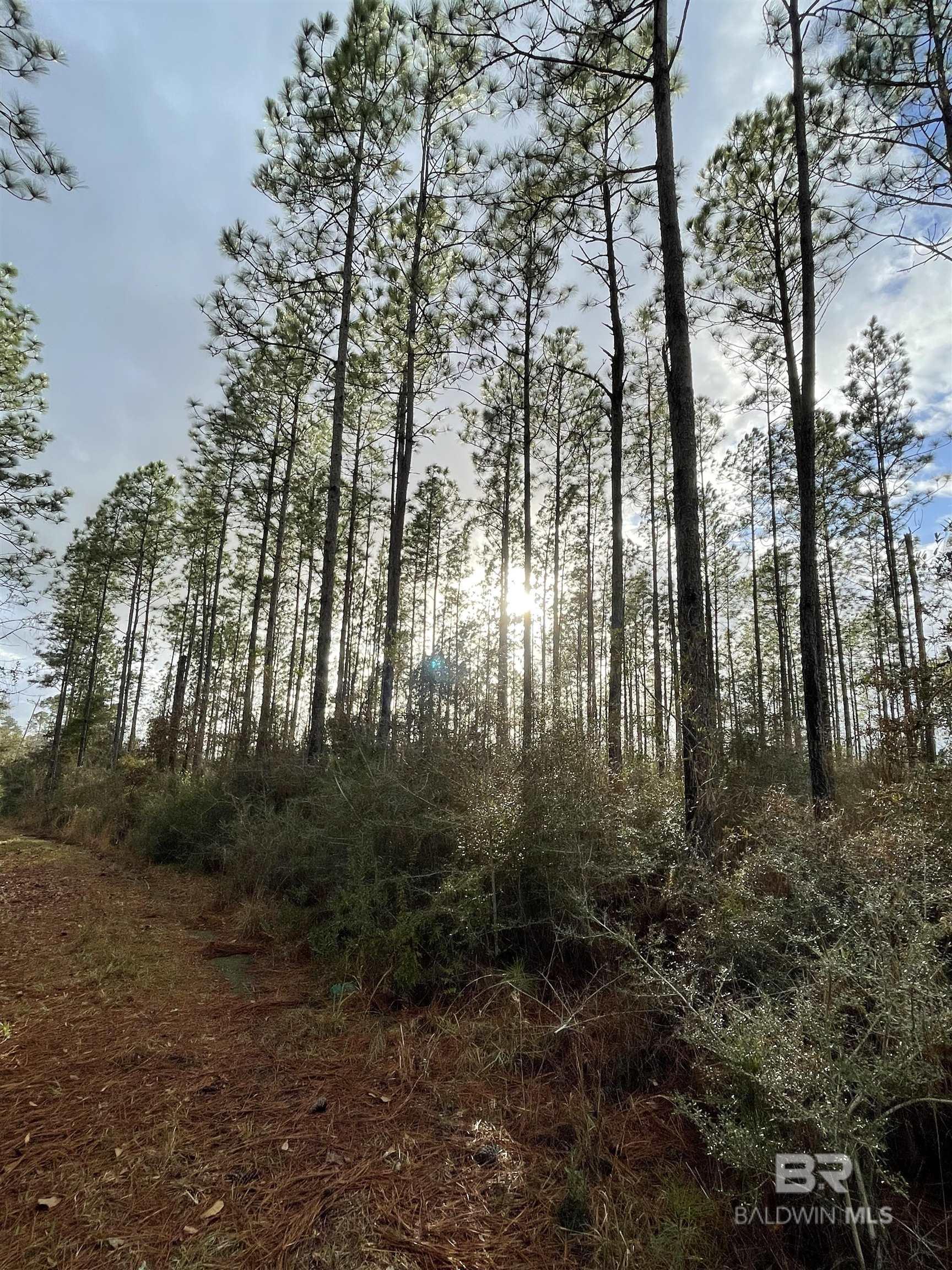 Homes for sale in Century, FL | 3700 Block Hwy 168, Century, FL 32535 | MLS# 372510