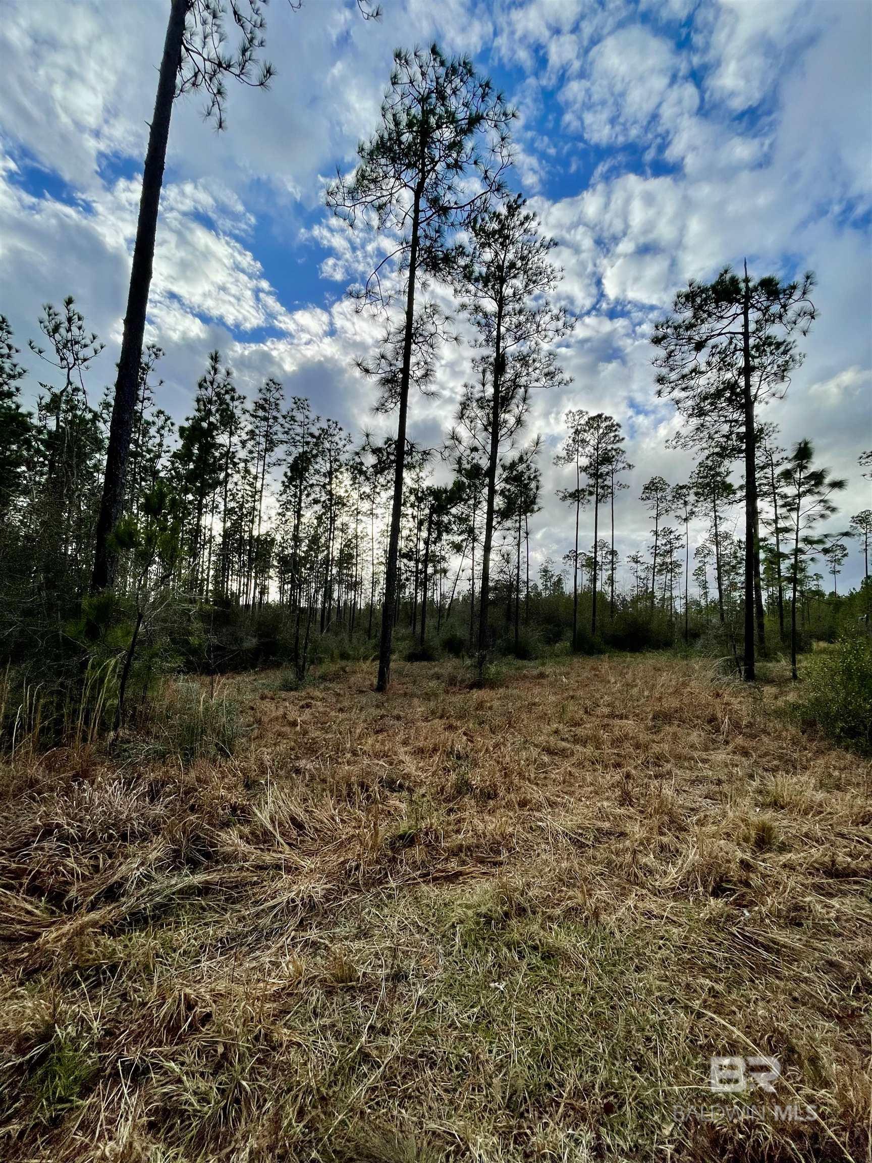 Homes for sale in Century, FL | 3700 Block Hwy 168, Century, FL 32535 | MLS# 372510