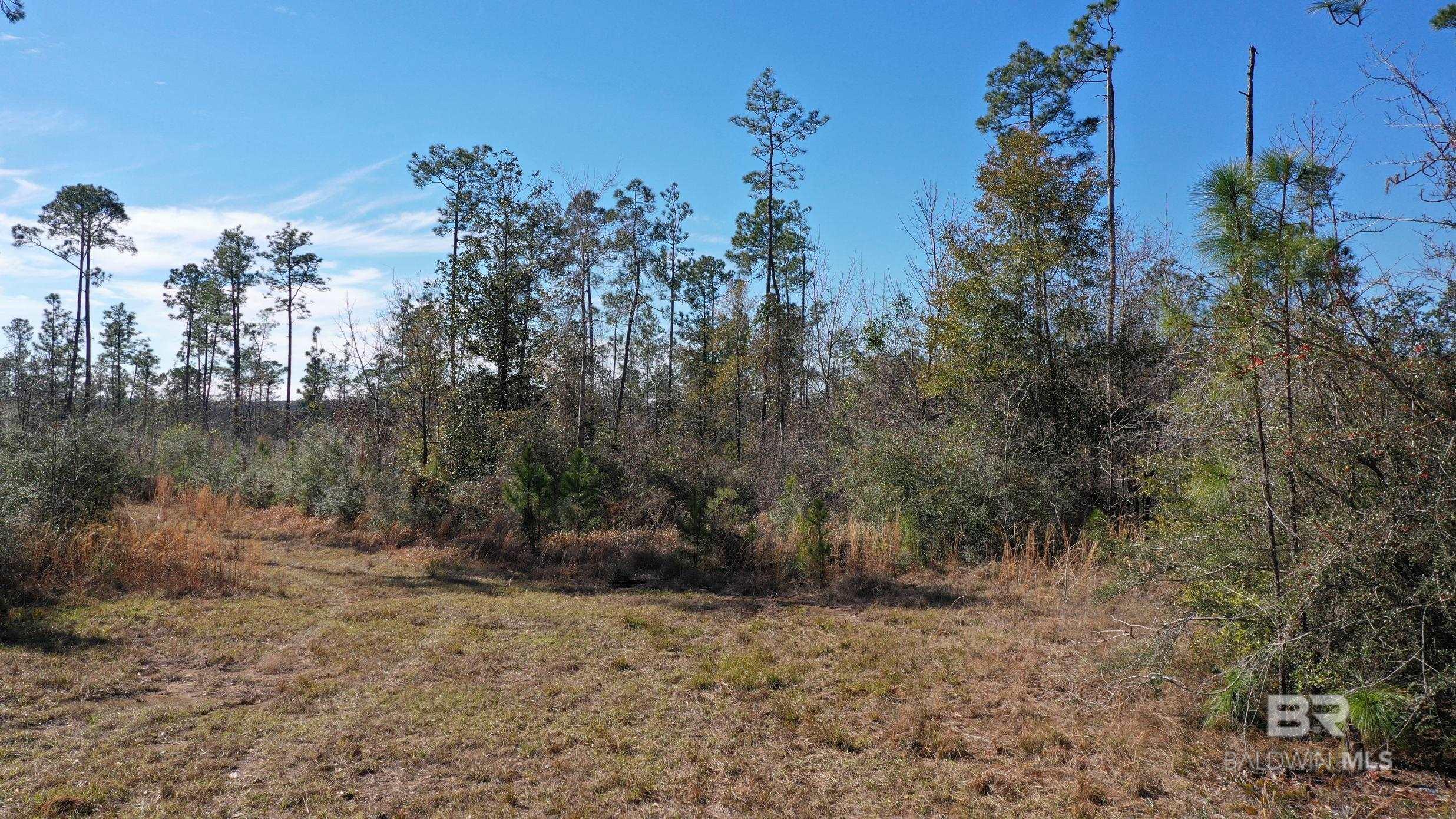 Homes for sale in Century, FL | 3700 Block Hwy 168, Century, FL 32535 | MLS# 372510