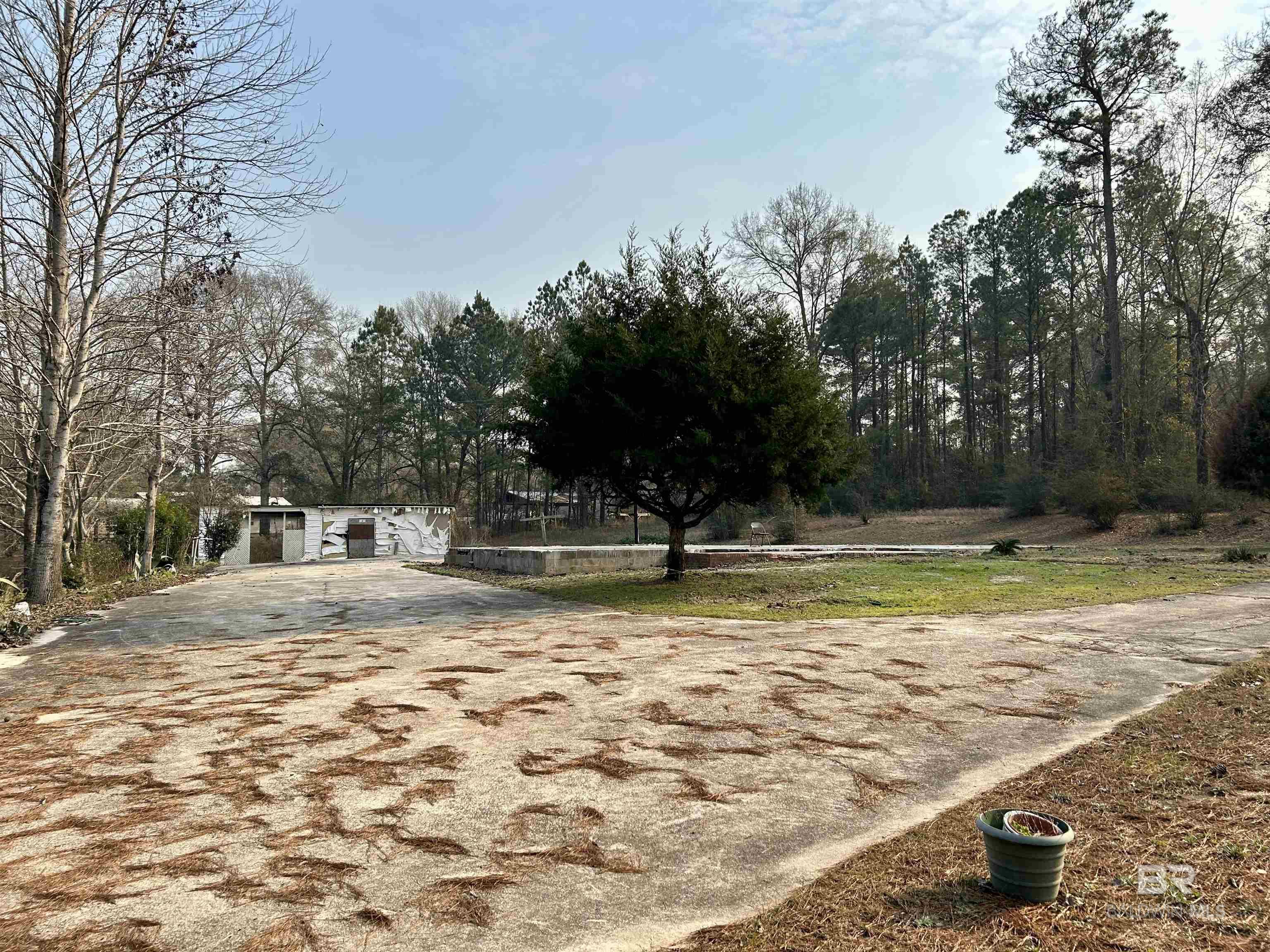 Listing Photo 372536