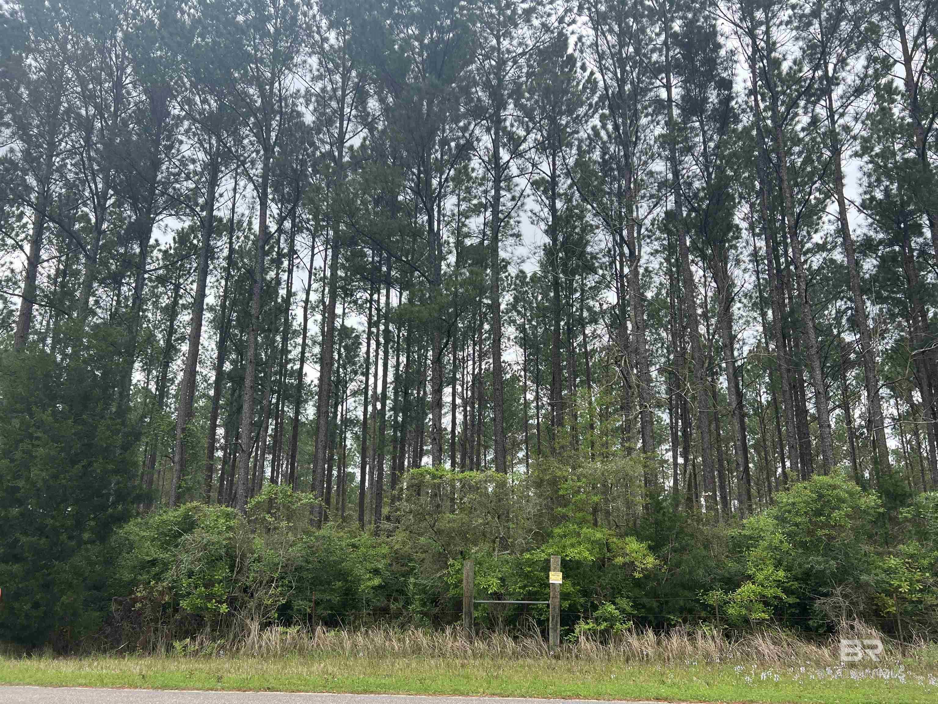 Homes for sale in Seminole, AL | 0 Bermuda Lane, Seminole, AL 36574 | MLS# 372651