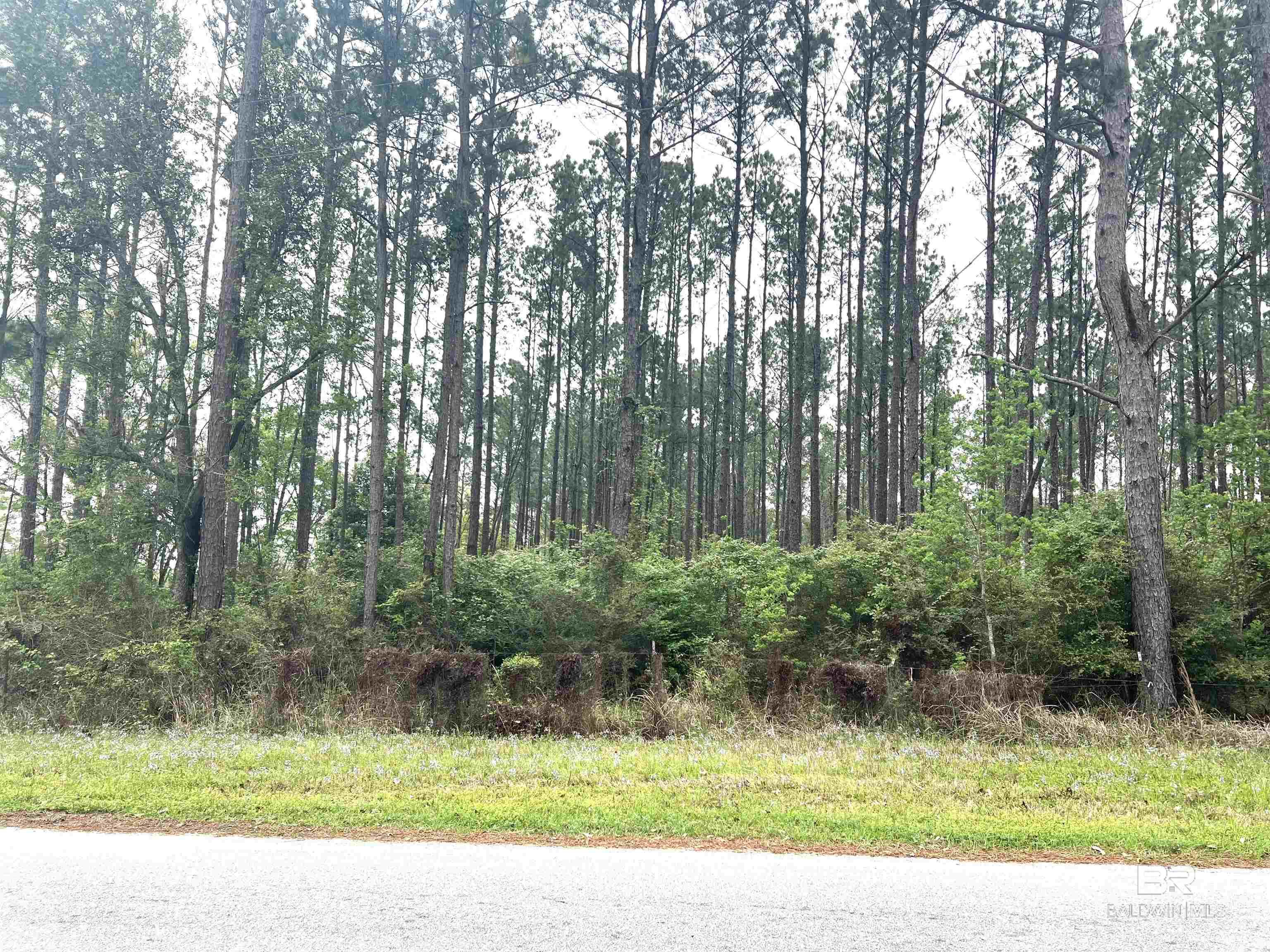 Homes for sale in Seminole, AL | 0 Bermuda Lane, Seminole, AL 36574 | MLS# 372651