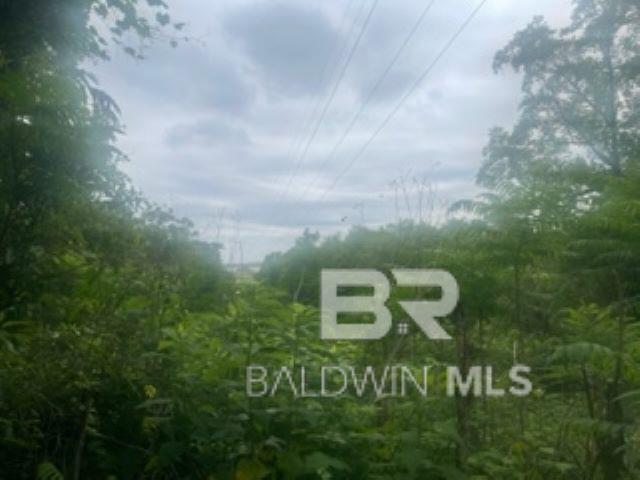 Homes for sale in Spanish Fort, AL | Lot #19 Confederate Dr, Spanish Fort, AL 36527 | MLS# 372835