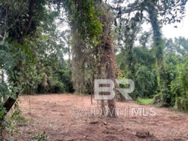 Homes for sale in Spanish Fort, AL | Lot #19 Confederate Dr, Spanish Fort, AL 36527 | MLS# 372835