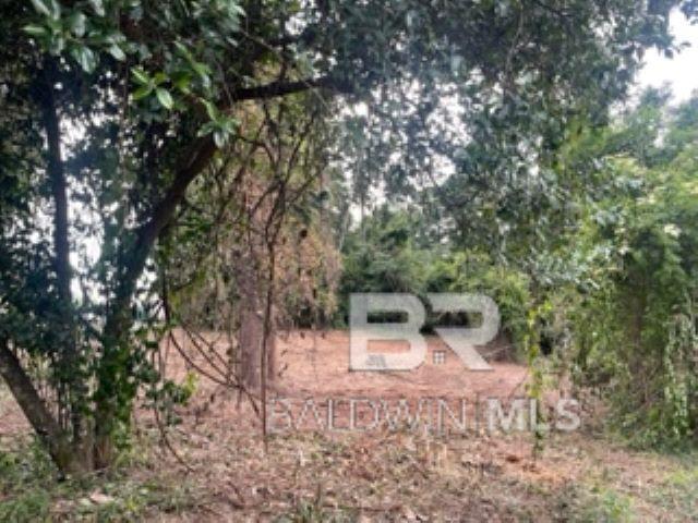 Homes for sale in Spanish Fort, AL | Lot #19 Confederate Dr, Spanish Fort, AL 36527 | MLS# 372835