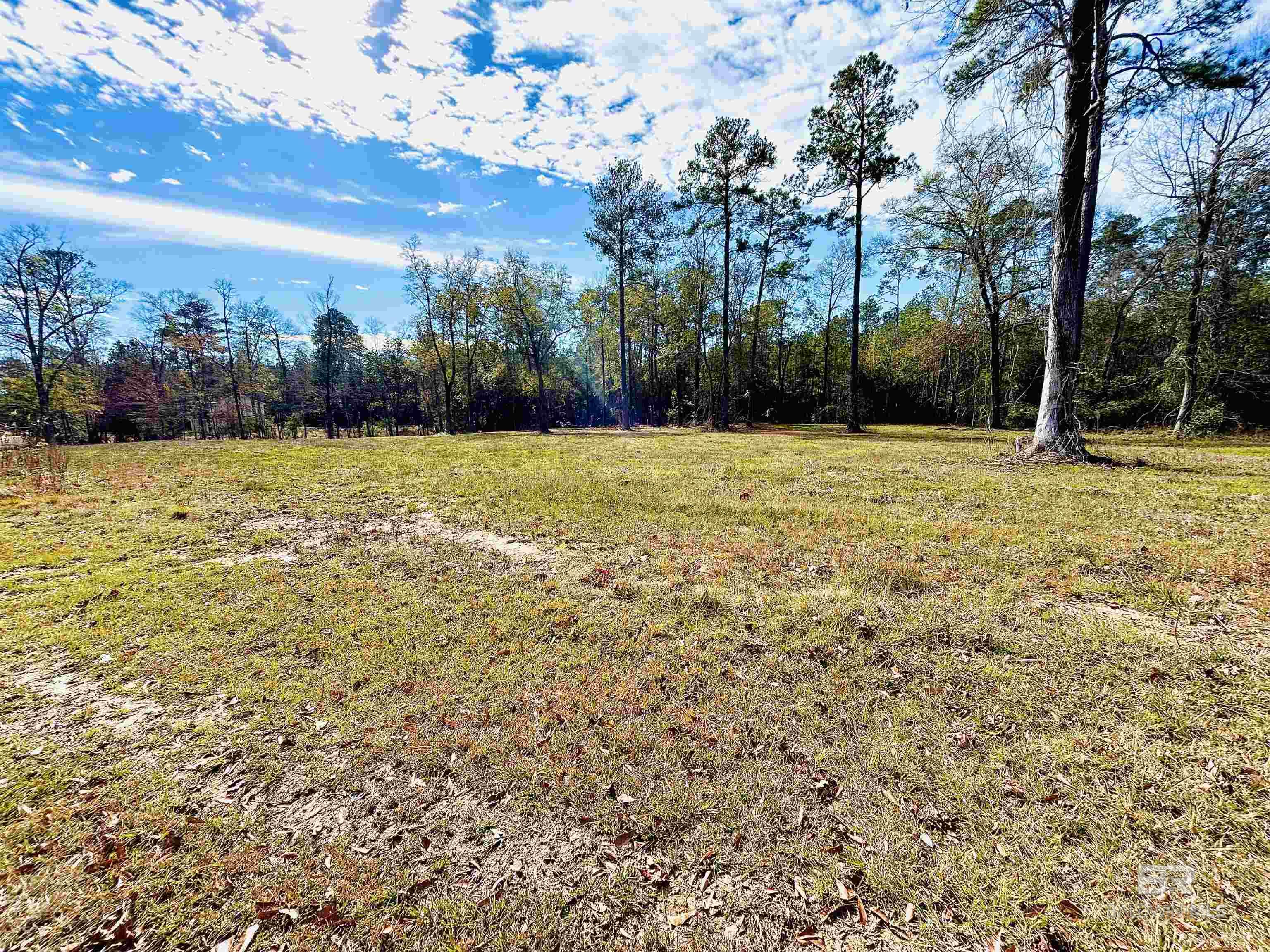 Listing Photo 372849