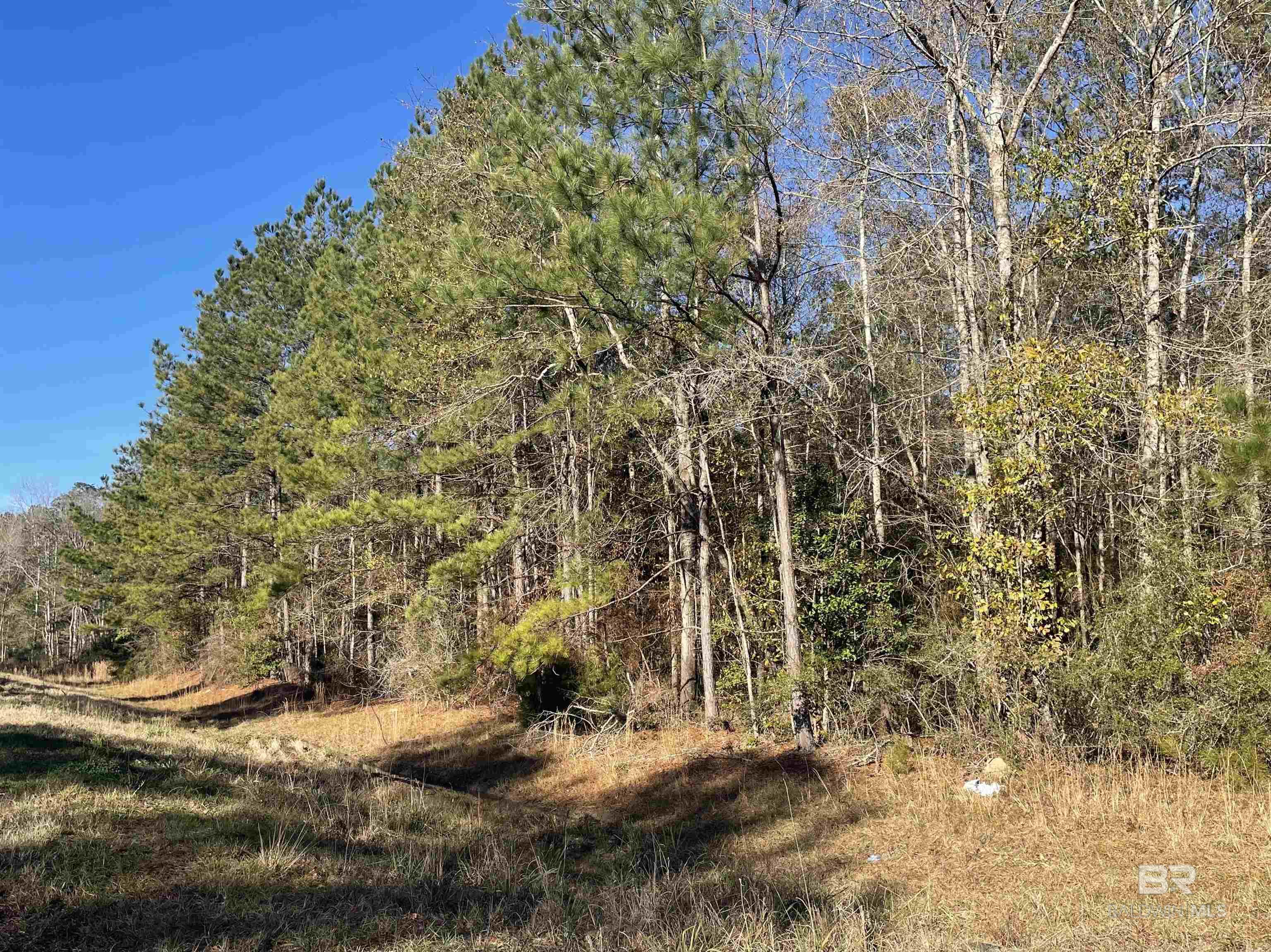 Listing Photo 373001