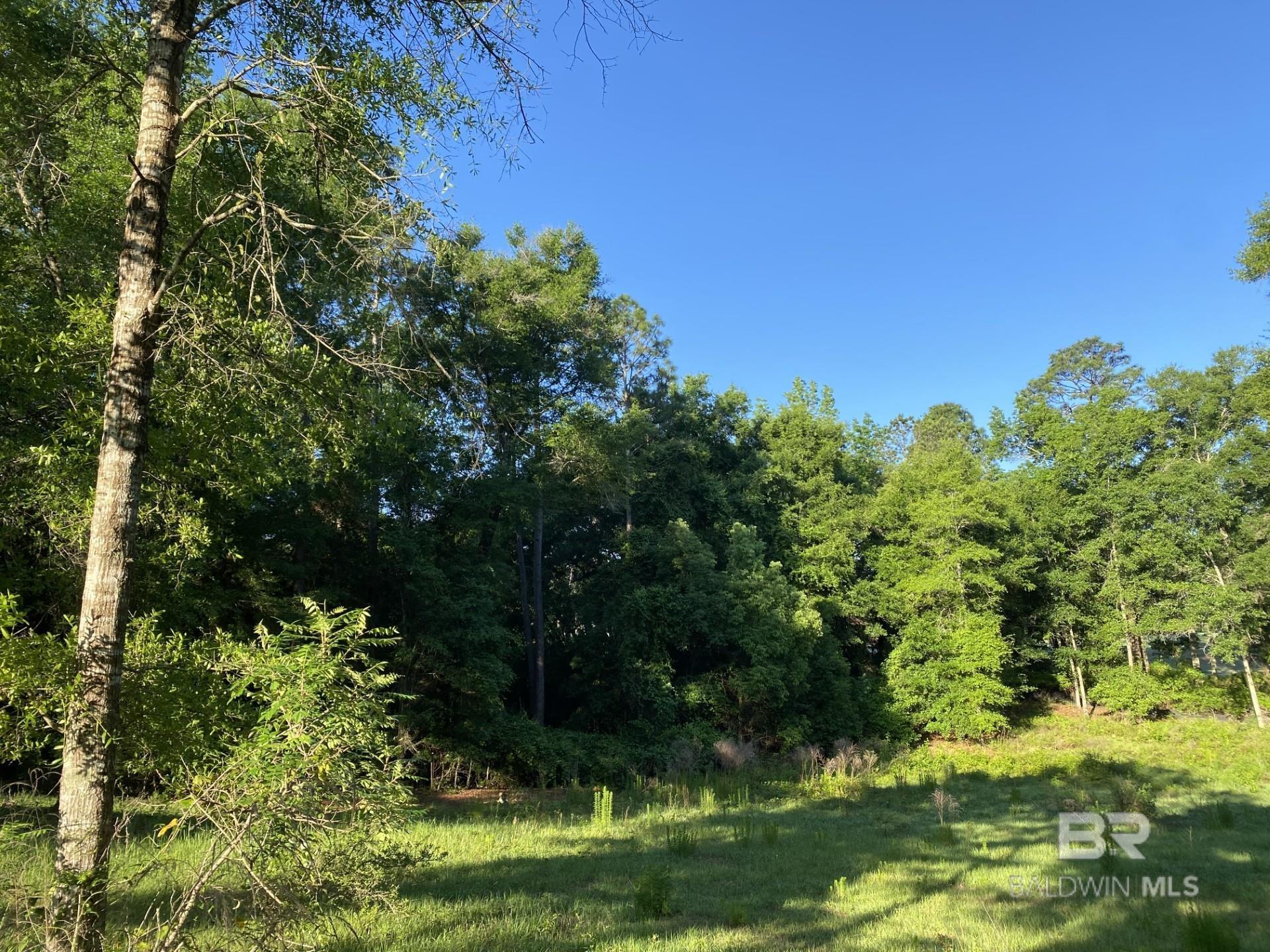 Homes for sale in Fairhope, AL | 123 Augusta Court, Fairhope, AL 36532 | MLS# 373096