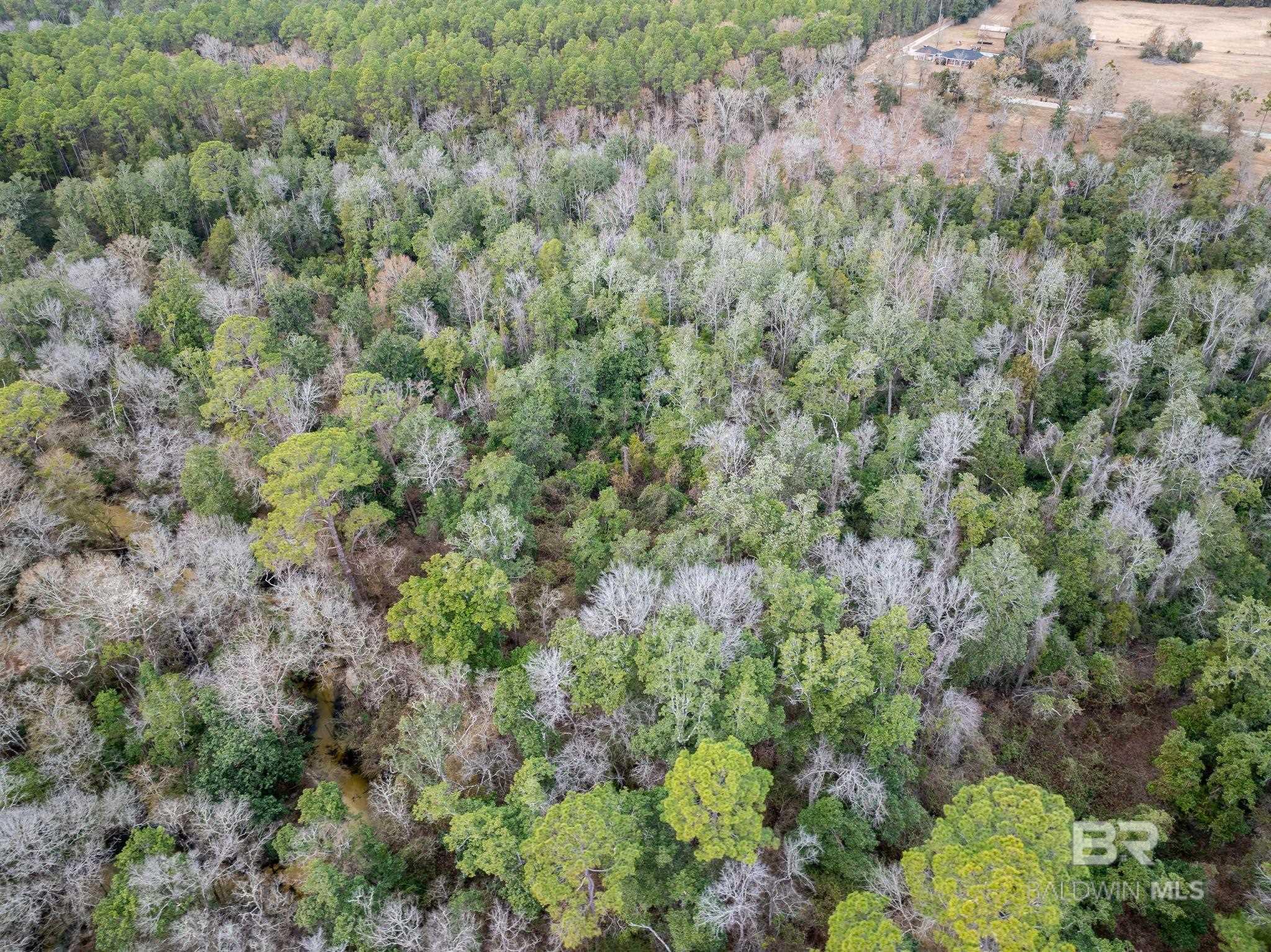 Homes for sale in Silverhill, AL | 0 Holston Lane, Silverhill, AL 36576 | MLS# 373238