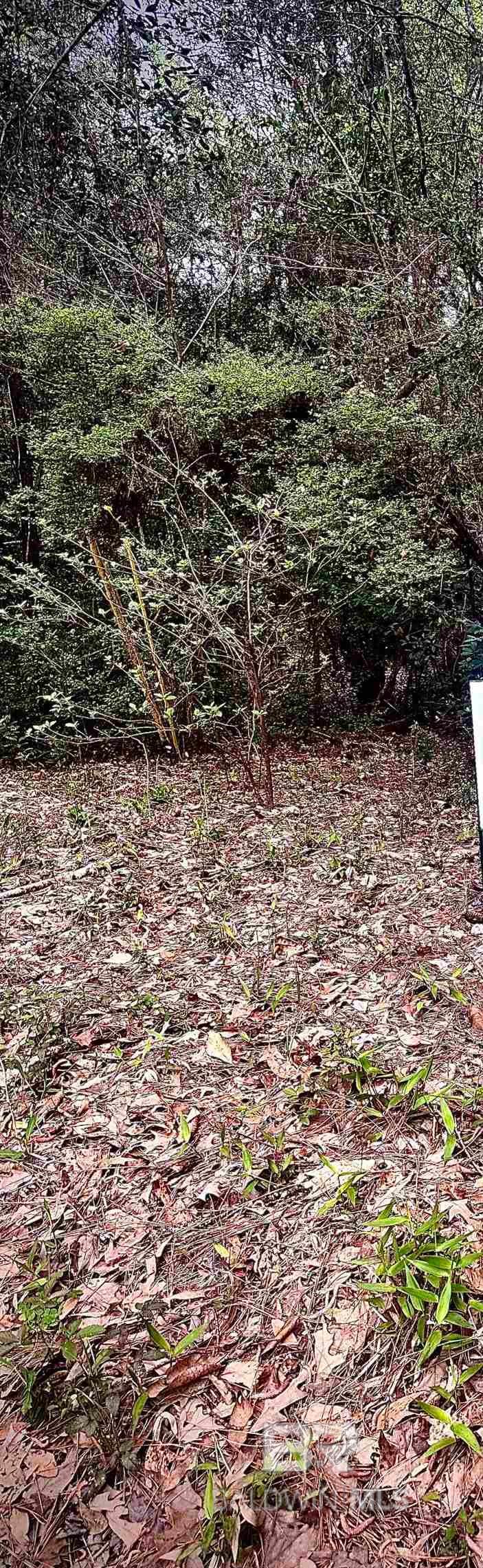 Homes for sale in Saraland, AL | Pine Court, Saraland, AL 36571 | MLS# 374331