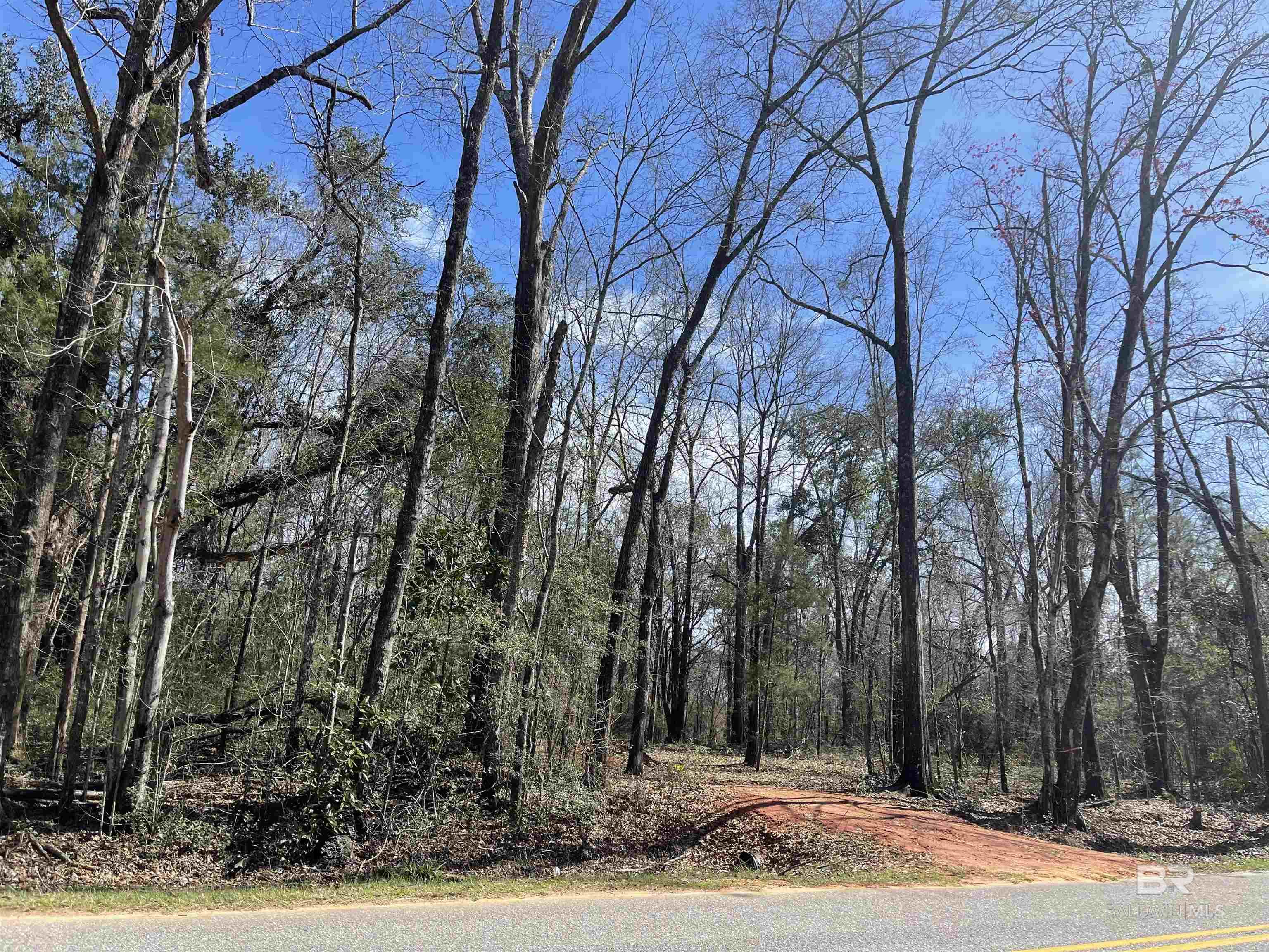 Listing Photo 374499