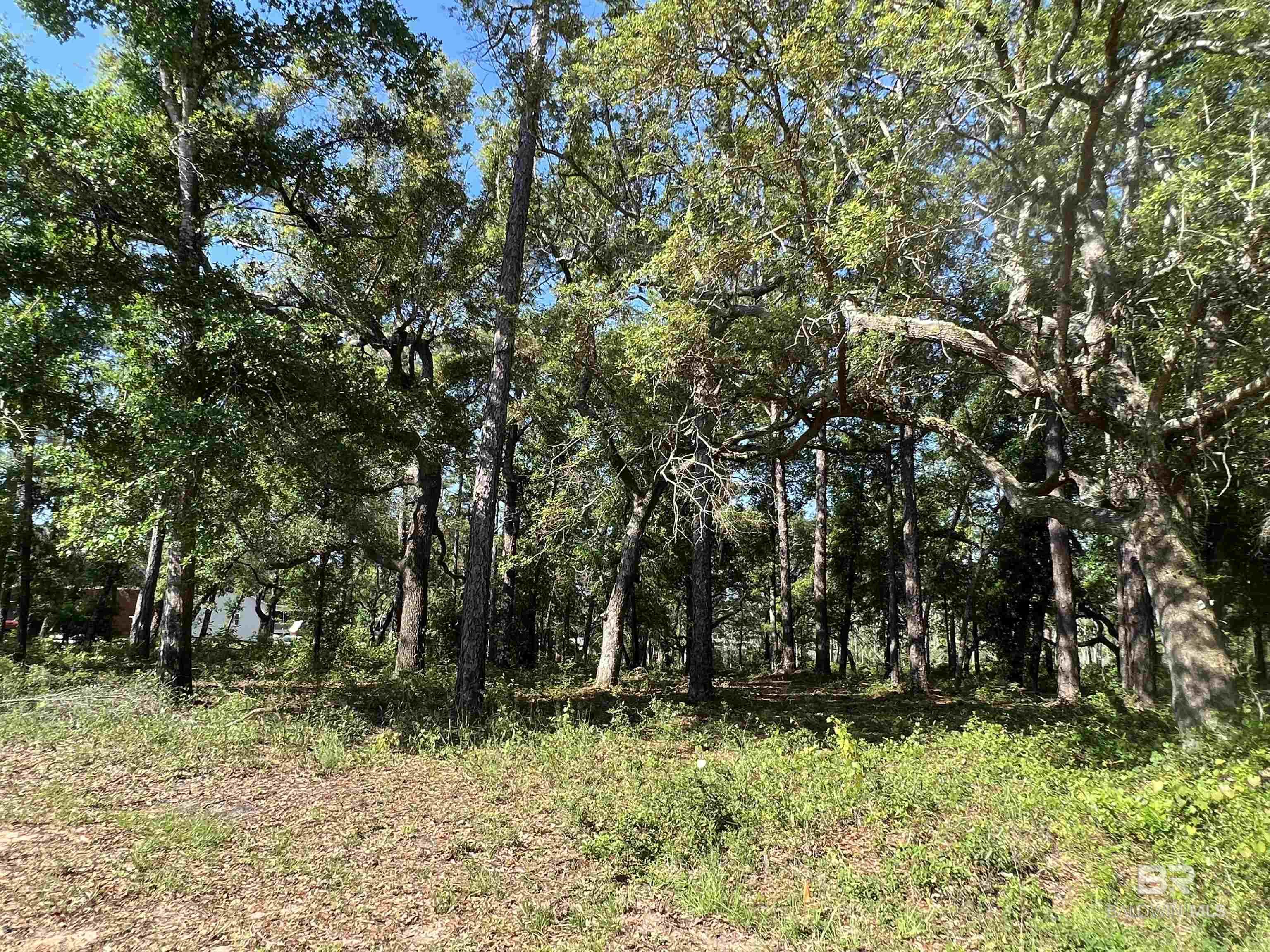 Homes for sale in Lillian, AL | 9545 N Bayou Road, Lillian, AL 36549 | MLS# 375377