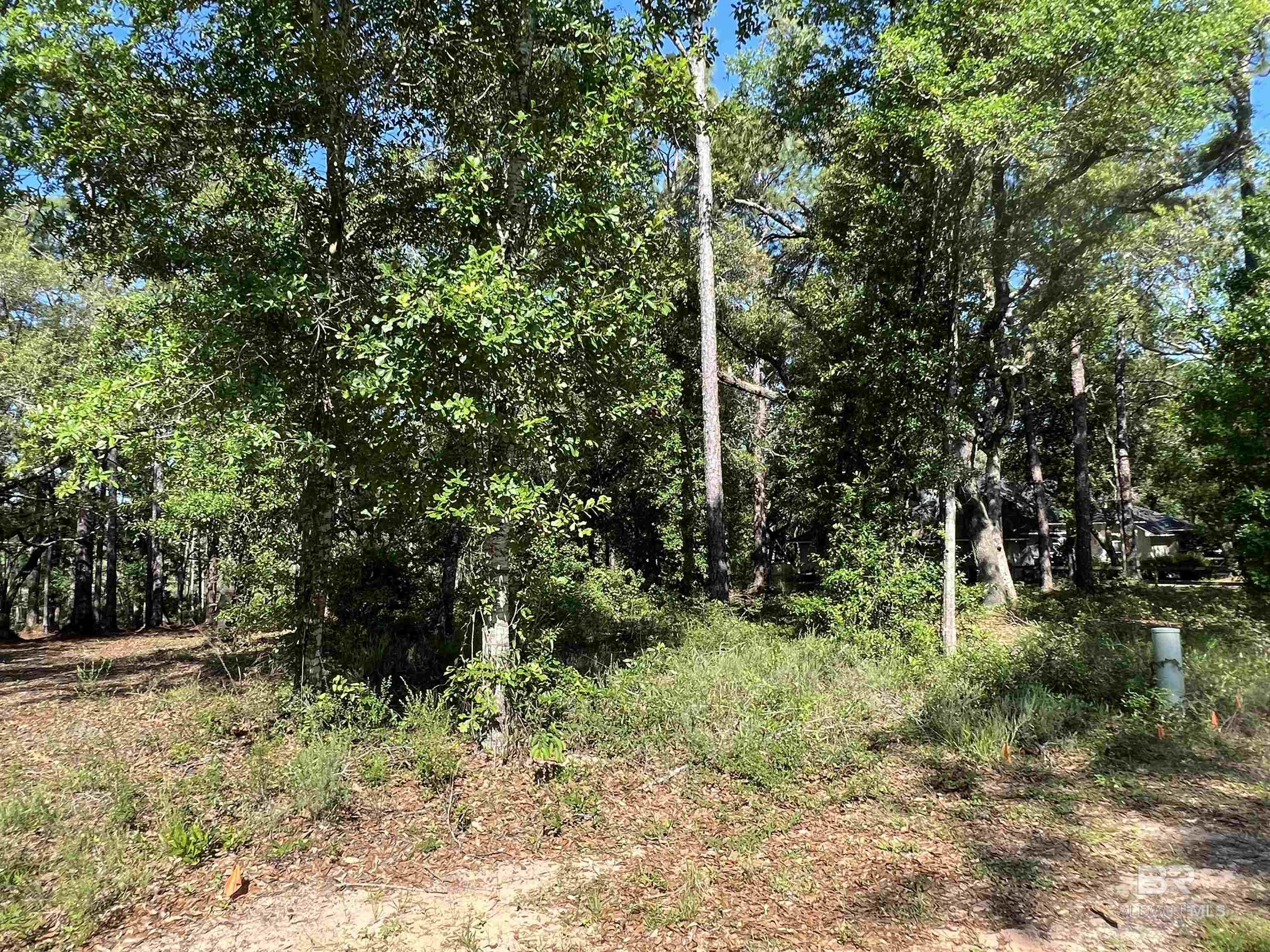 Homes for sale in Lillian, AL | 9545 N Bayou Road, Lillian, AL 36549 | MLS# 375377