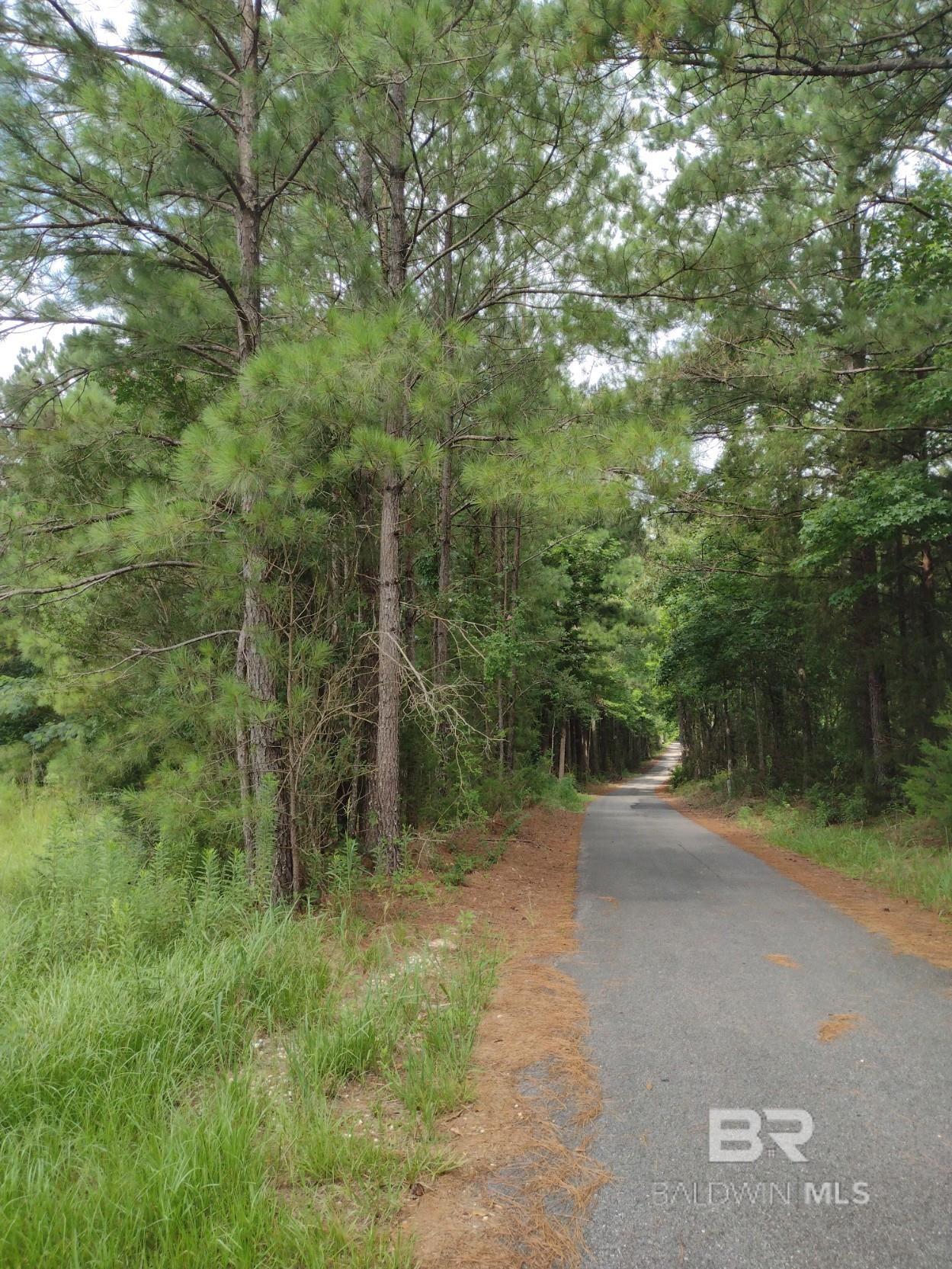 Listing Photo 375662