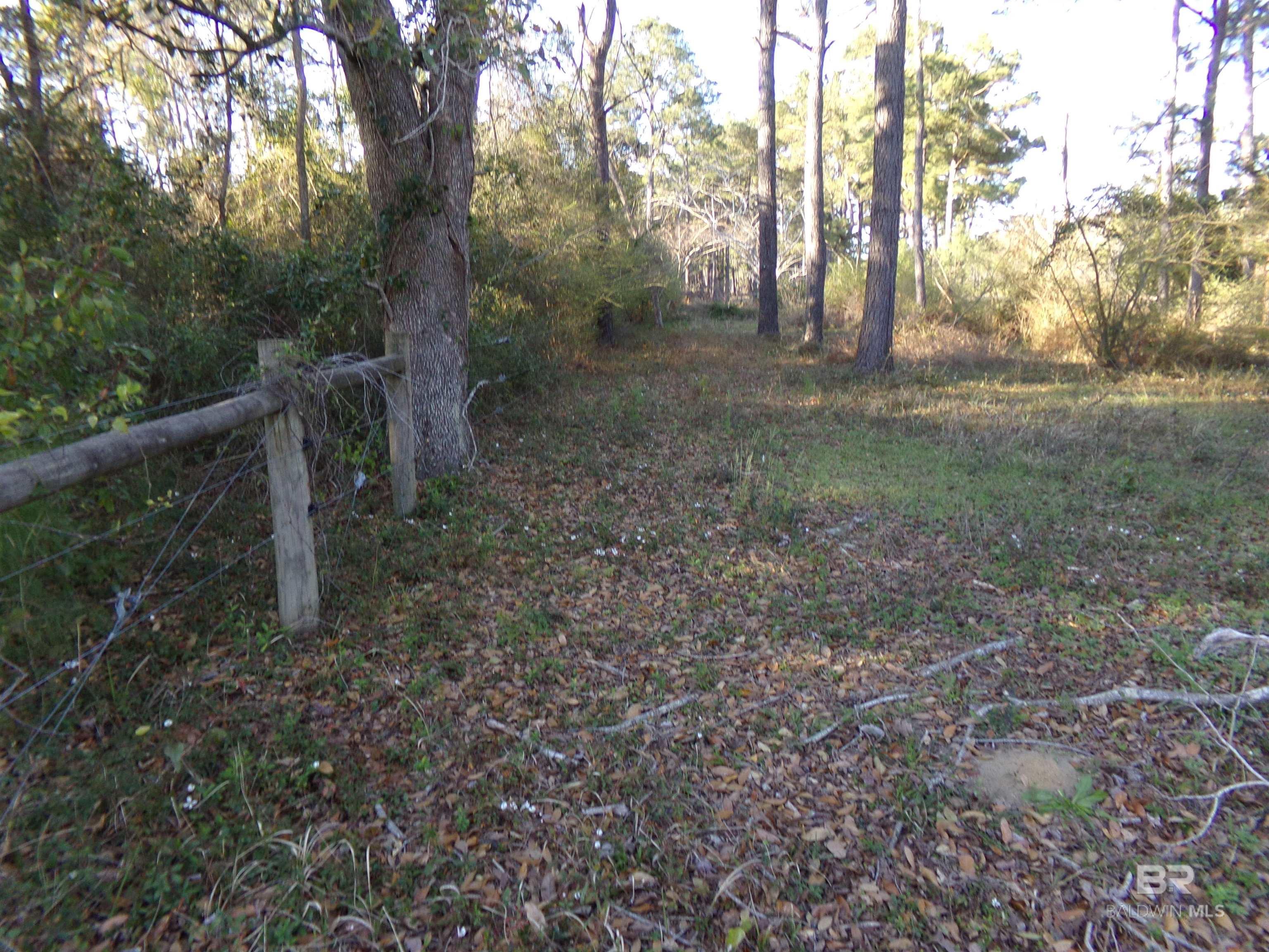Listing Photo 375709