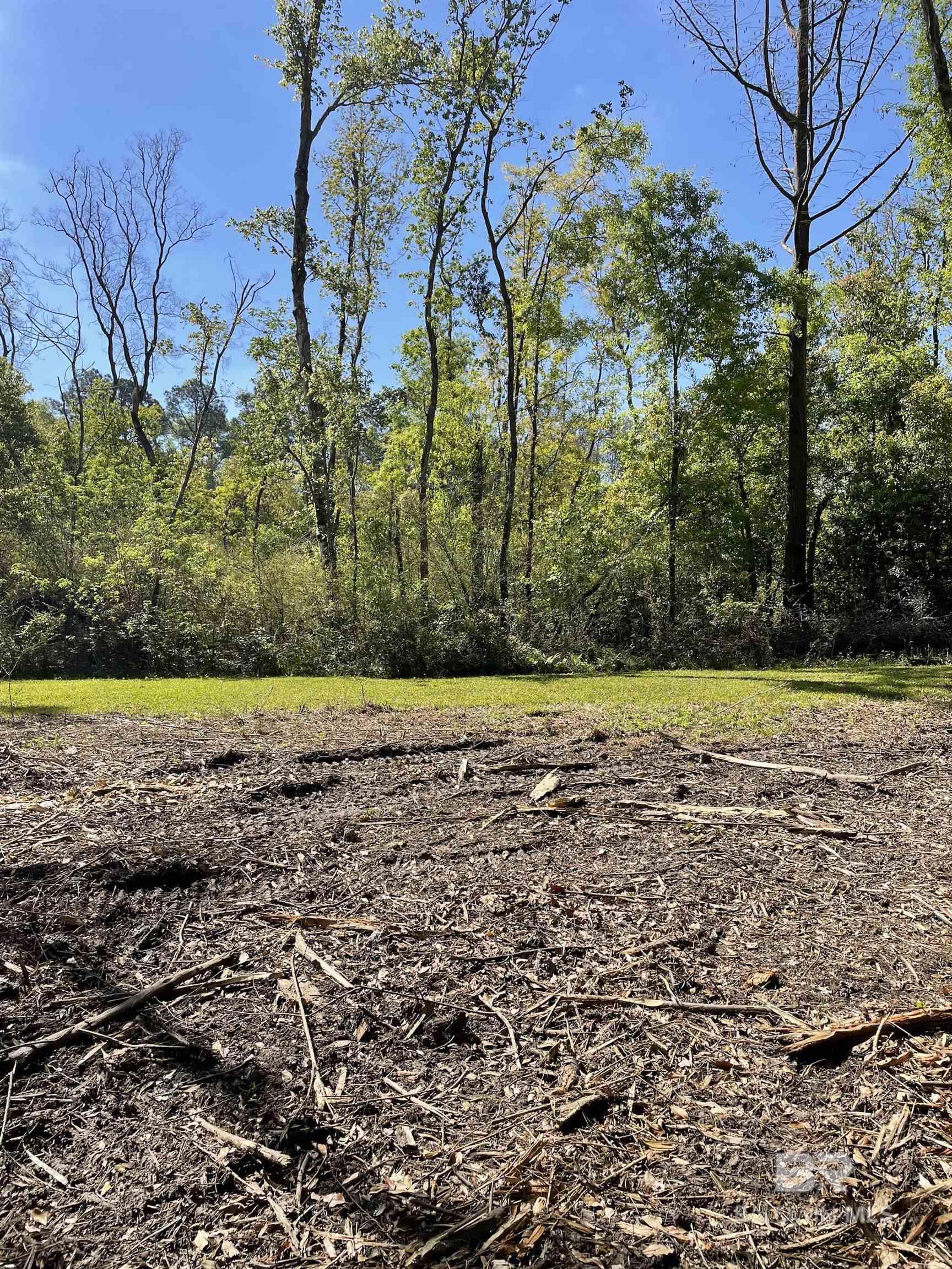 Homes for sale in Robertsdale, AL | 0 Cee Bee Street, Robertsdale, AL 36567 | MLS# 376138