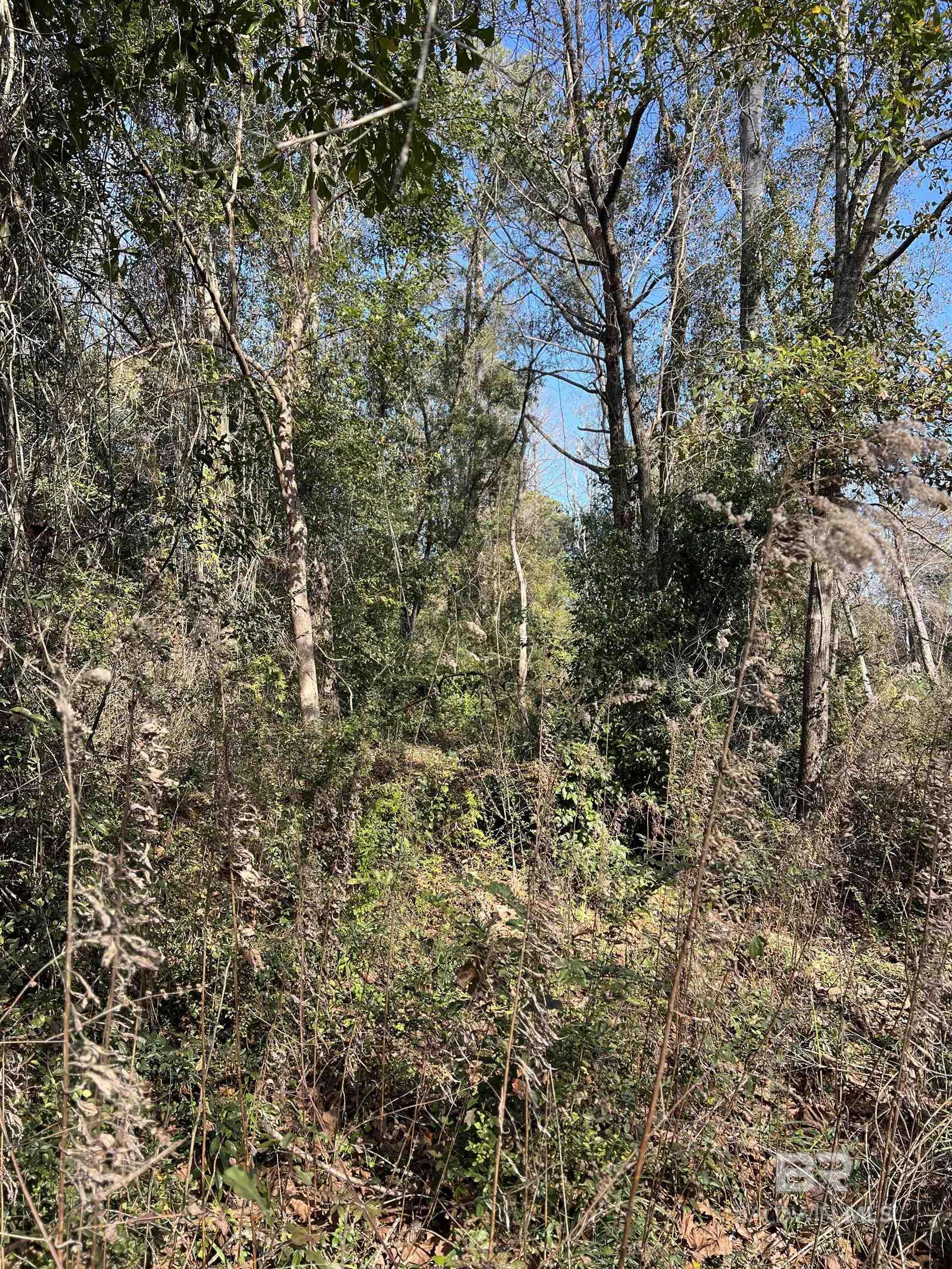 Homes for sale in Robertsdale, AL | 0 Cee Bee Street, Robertsdale, AL 36567 | MLS# 376138