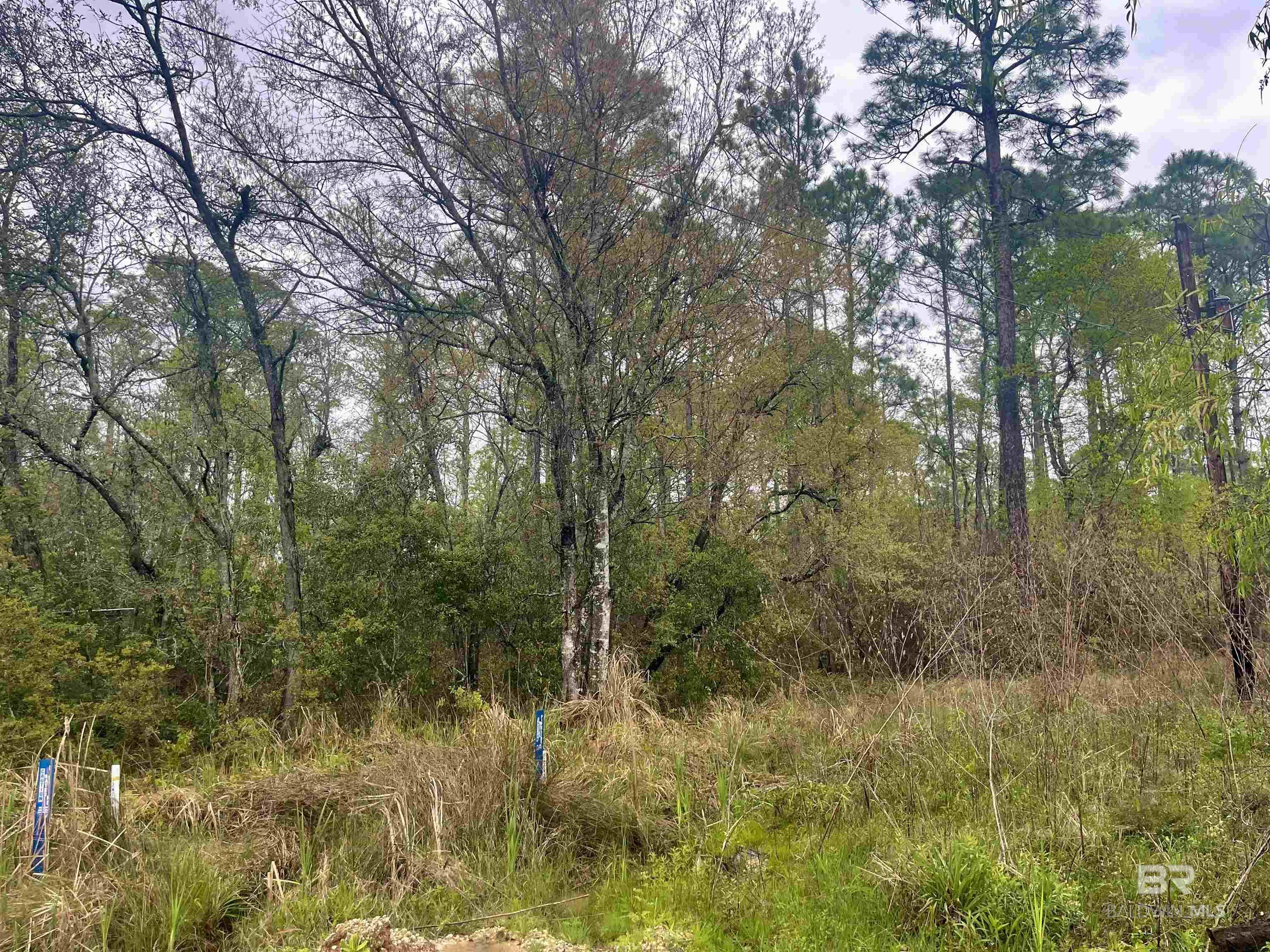 Homes for sale in Coden, AL | 0 Michigan Avenue, Coden, AL 36523 | MLS# 376275