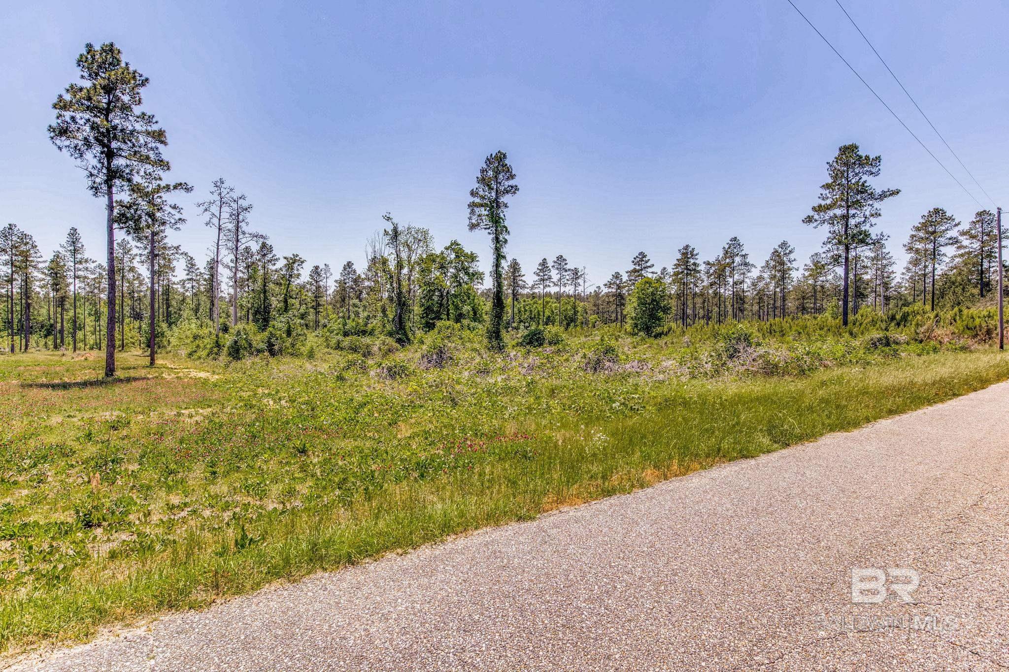 Homes for sale in Atmore, AL | 0 Allen Road, Atmore, AL 36502 | MLS# 377892