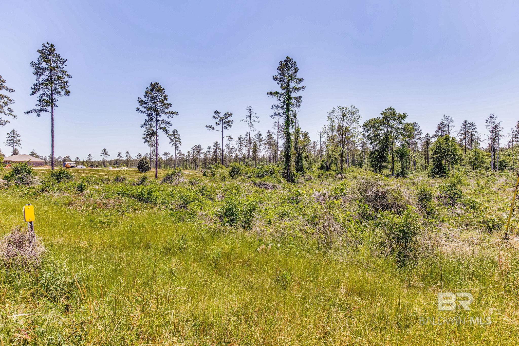 Homes for sale in Atmore, AL | 0 Allen Road, Atmore, AL 36502 | MLS# 377892