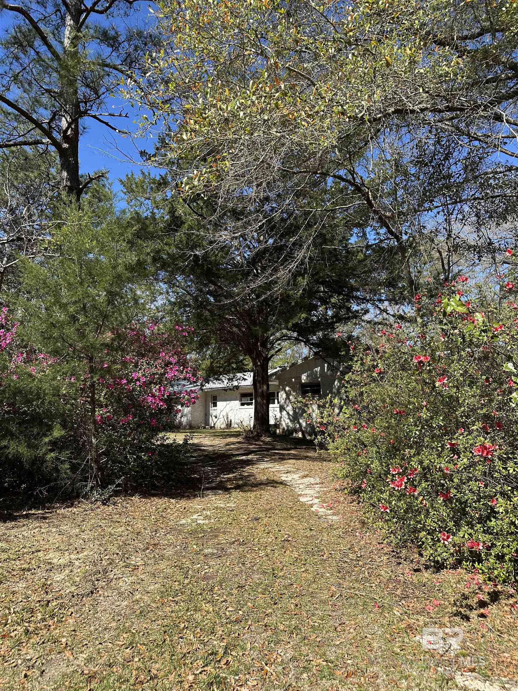 Listing Photo 377977