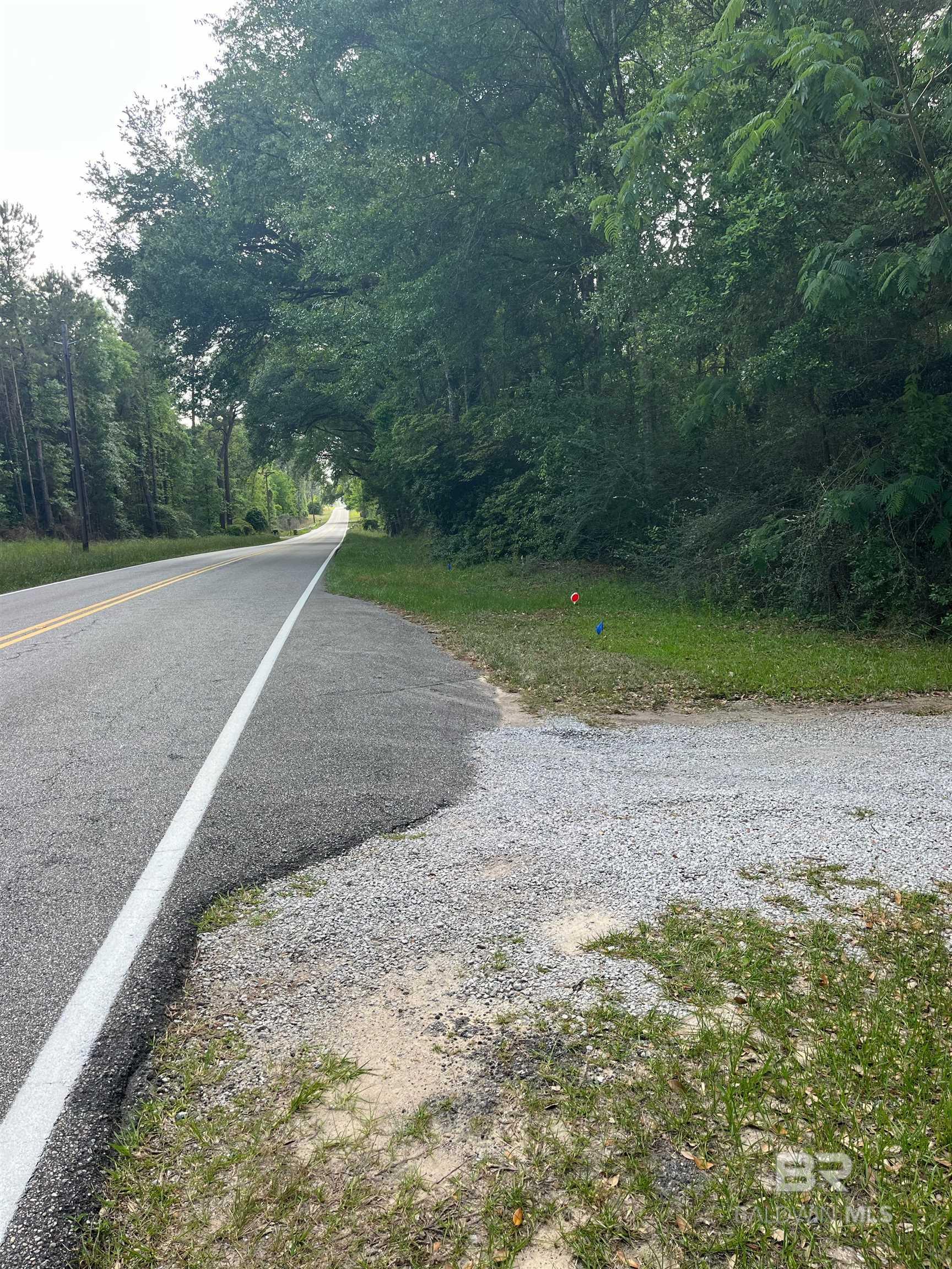 Homes for sale in Loxley, AL | 17929 County Road 64, Loxley, AL 36551 | MLS# 378209