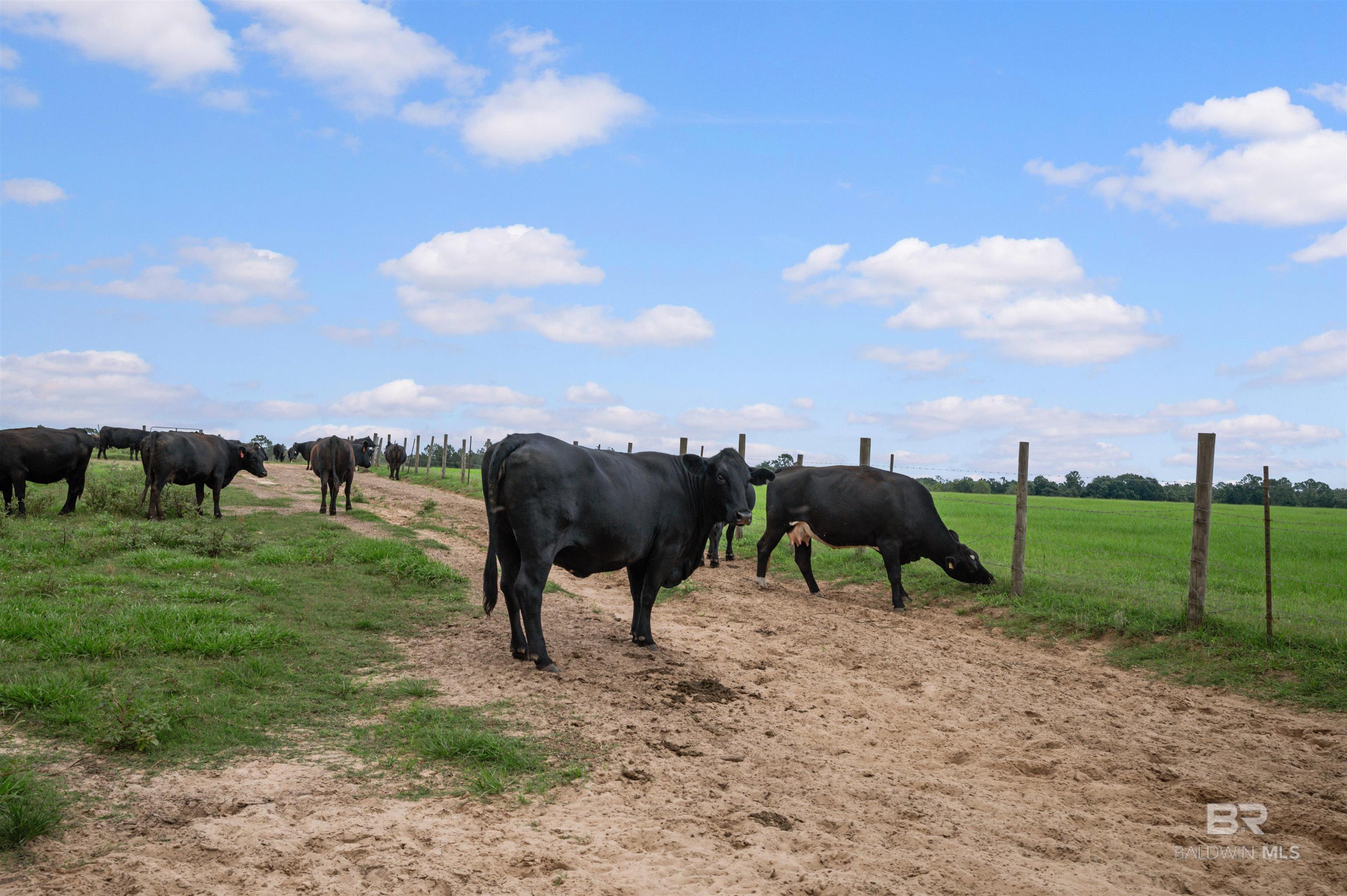 Homes for sale in Elberta, AL | 24795a County Road 32, Elberta, AL 36530 | MLS# 378828