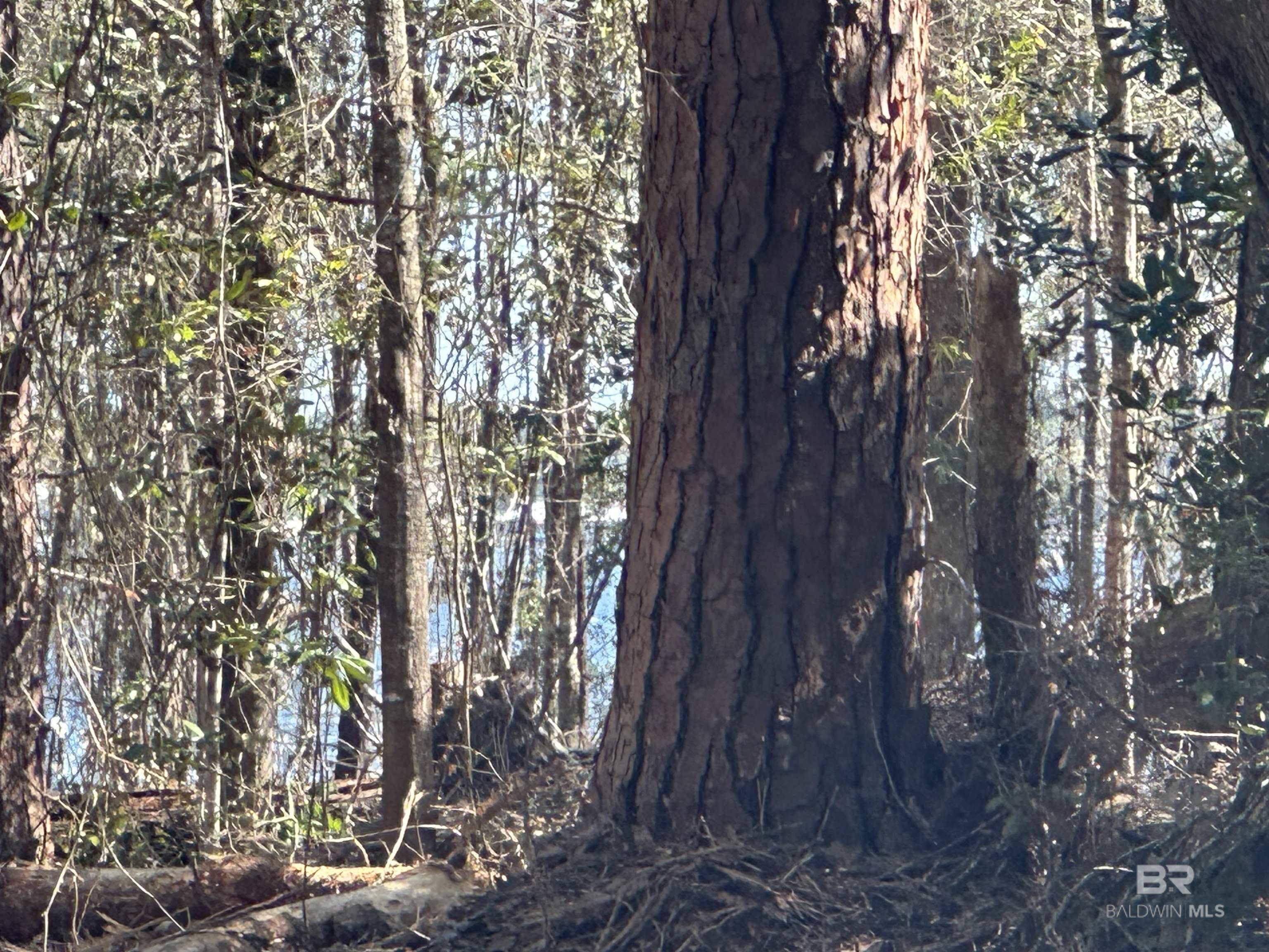 Homes for sale in Lillian, AL | 00 Boykin Boulevard, Lillian, AL 36549 | MLS# 378894