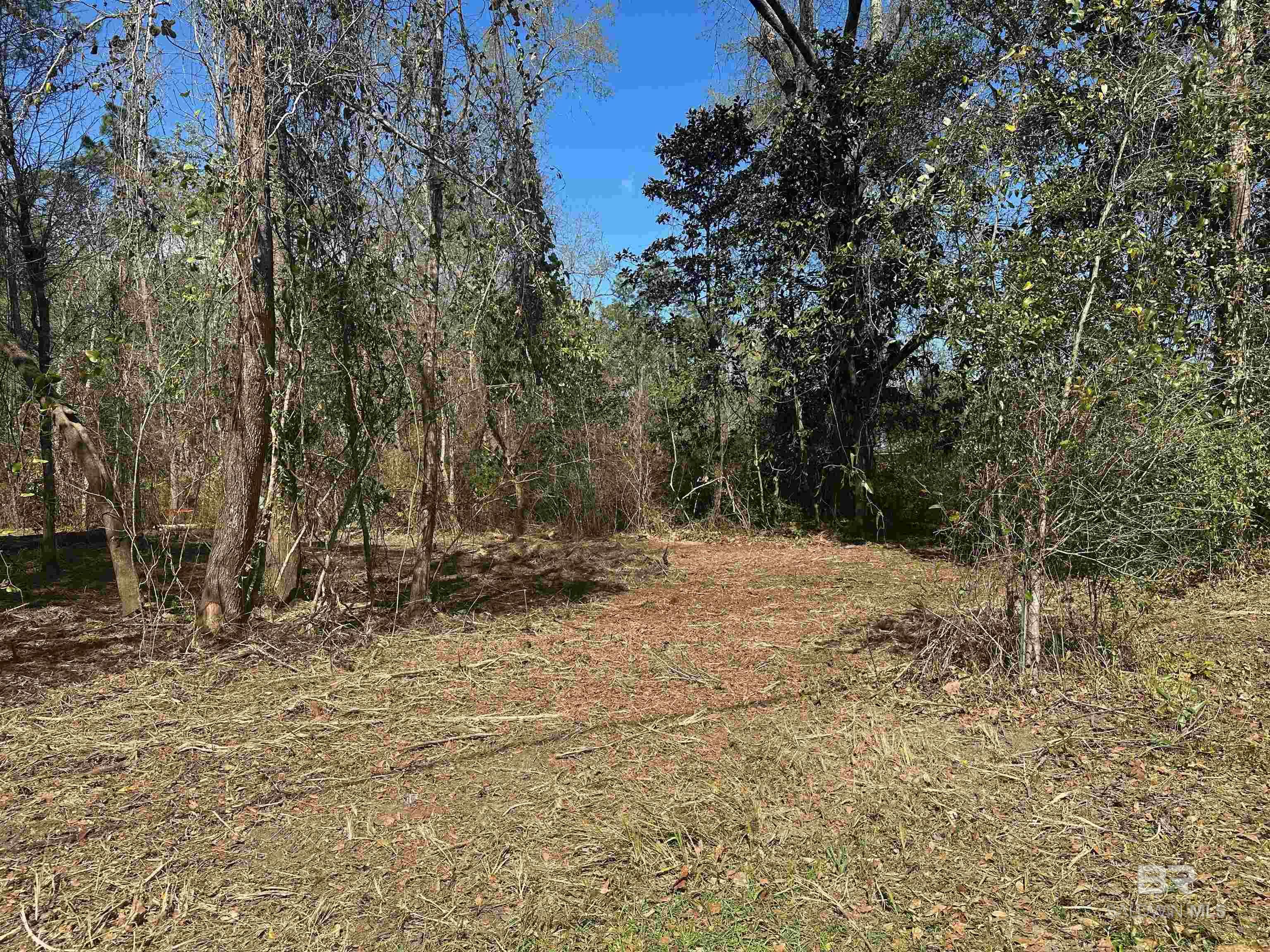 Homes for sale in Lillian, AL | 00 Boykin Boulevard, Lillian, AL 36549 | MLS# 378894