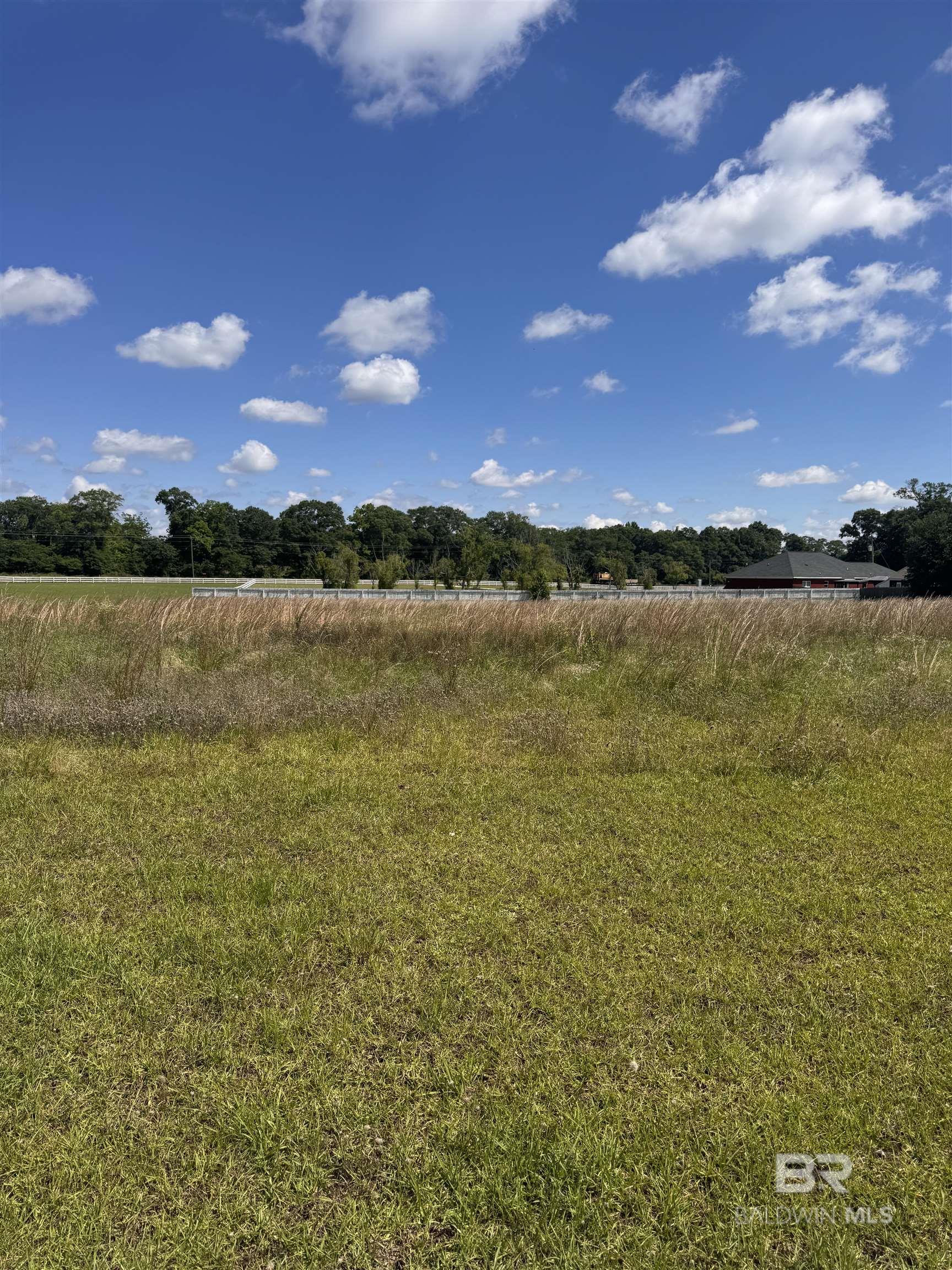 Homes for sale in Atmore, AL | 0 Stokley Court, Atmore, AL 36502 | MLS# 379130